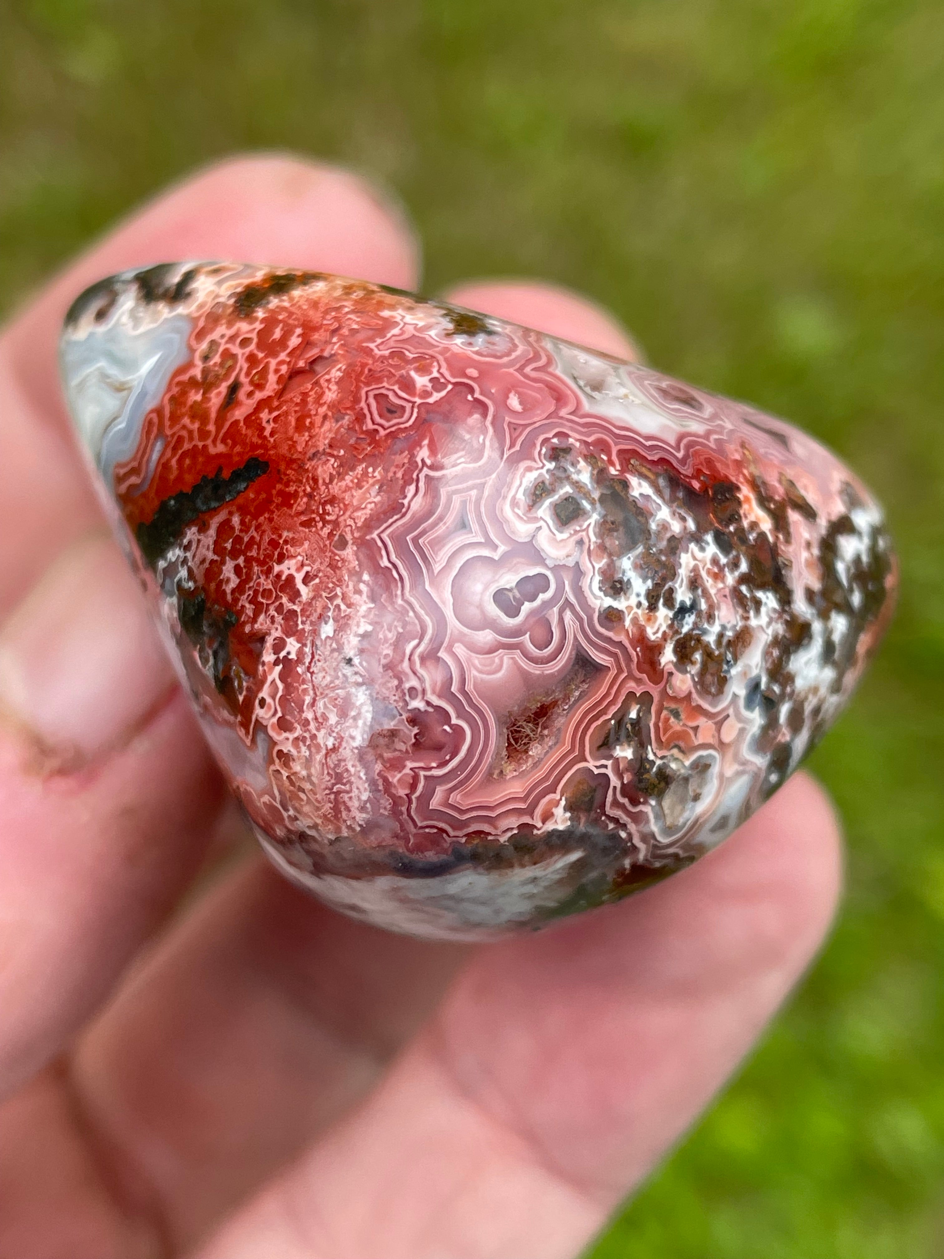 StoneBorn Creations Hand-Polished Lace Agate Freeform with Crimson Fortification Banding, Natural Druzy Cavities, and Intricate Orbicular Patterns