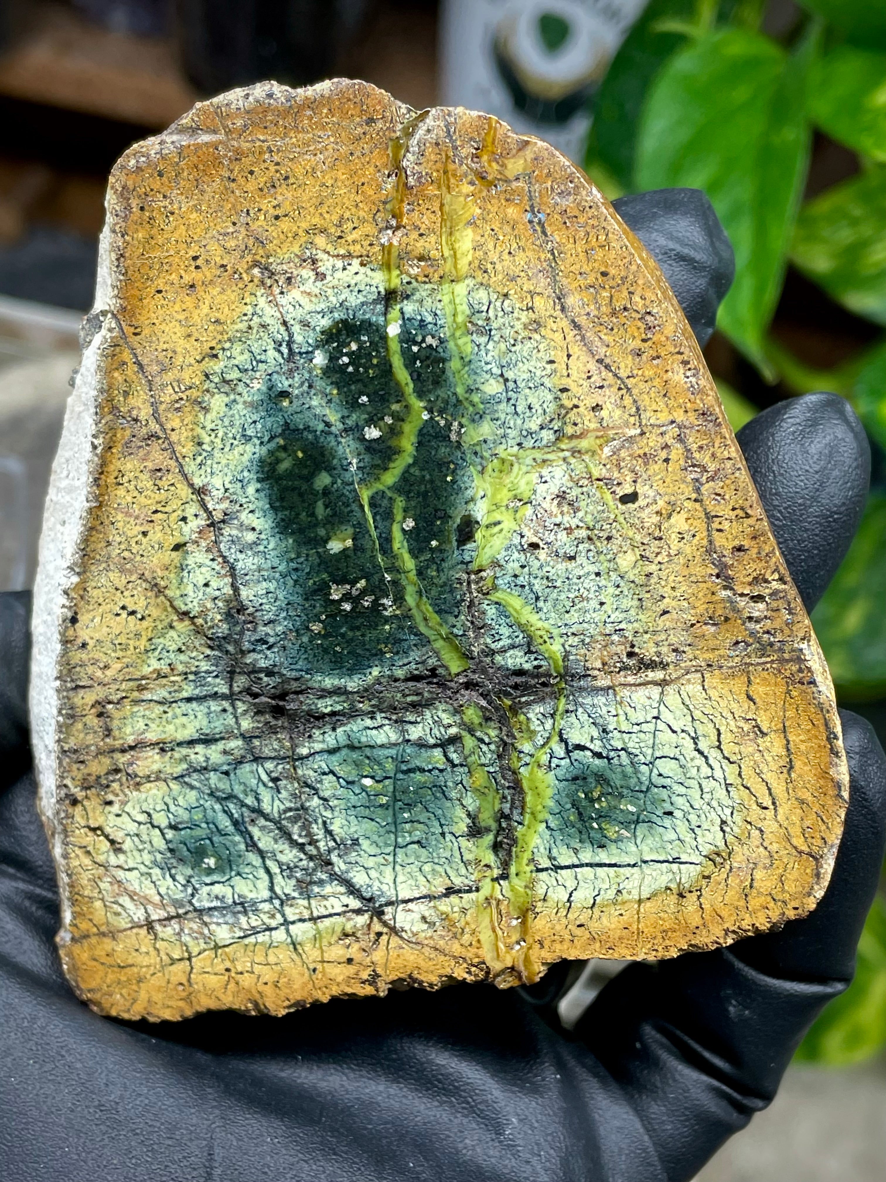 StoneBorn Creations Hand-Polished Vermont Serpentine Pair – River-Cut Matching Halves with Green Mineral Veins & Natural Fracture Patterns