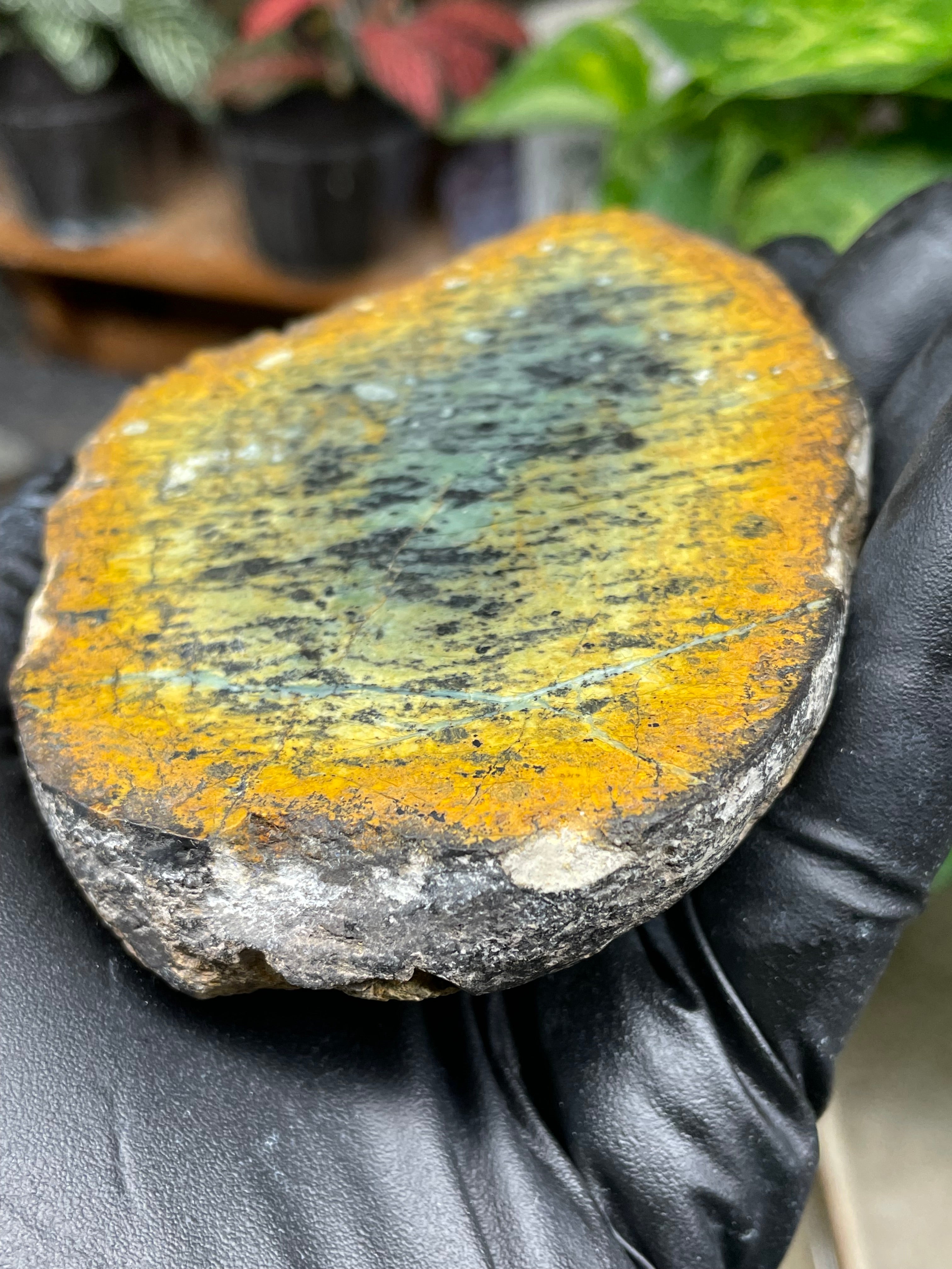 StoneBorn Creations Hand-Polished Vermont Greenstone Pair with Earthy Ochre Weathering and Natural Black Mineral Patterning – Freeform Display Halves