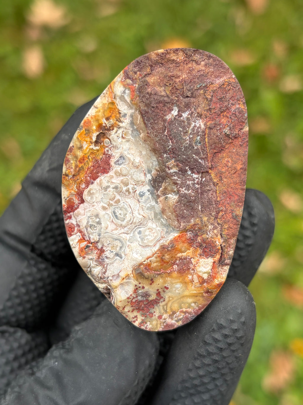 StoneBorn Creations – Crazy Lace Agate | Intricate Blue, Cream & Golden Banding | Hand-Polished Natural Stone