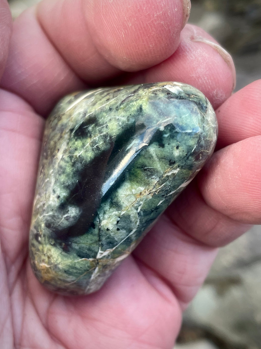 🌲 Polished Vermont Greenstone – Forest Glow Veining (Hand-Collected & Finished)
