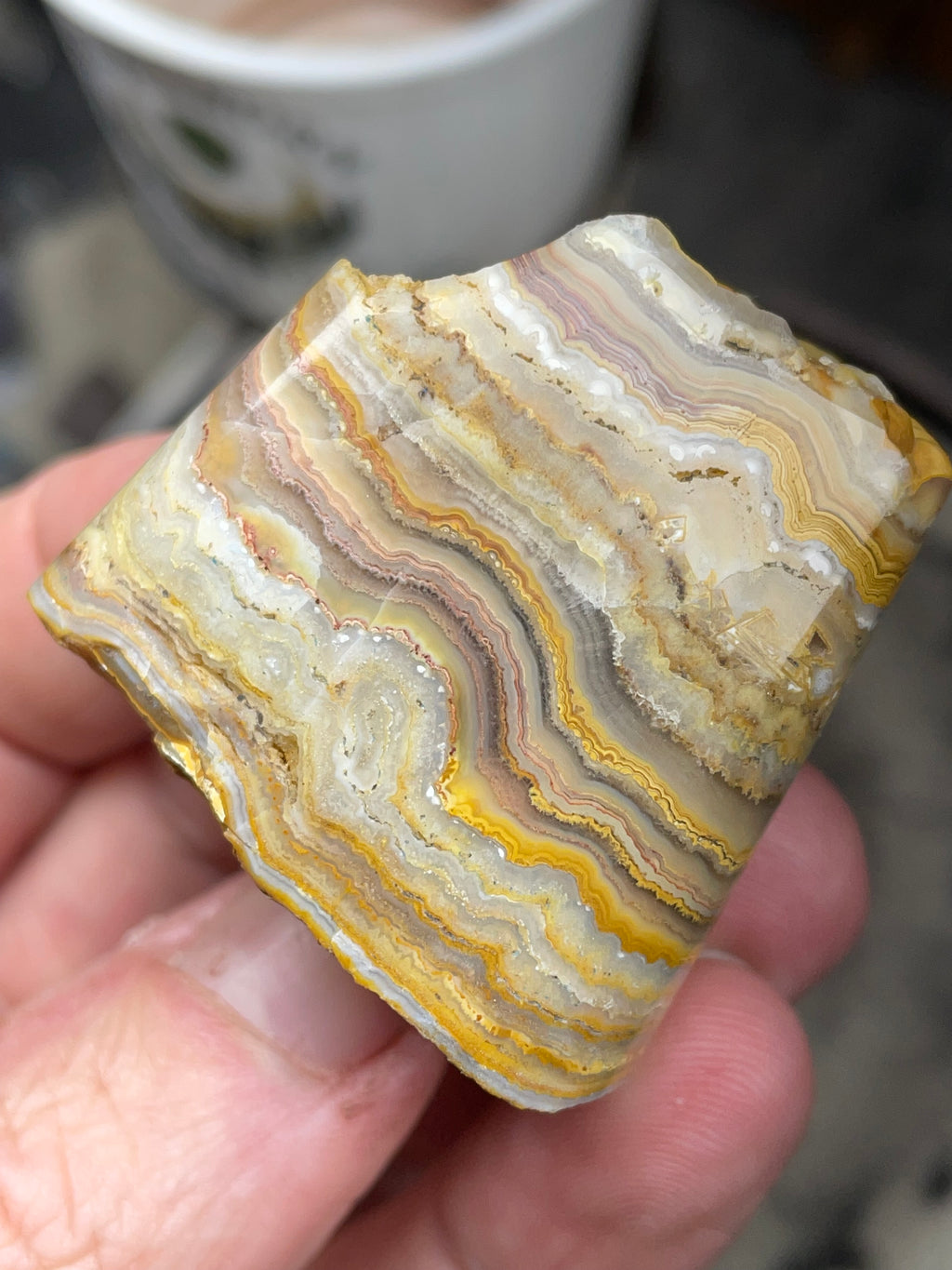 Crazy Lace Agate | Hand Polished Natural Stone | One of a Kind