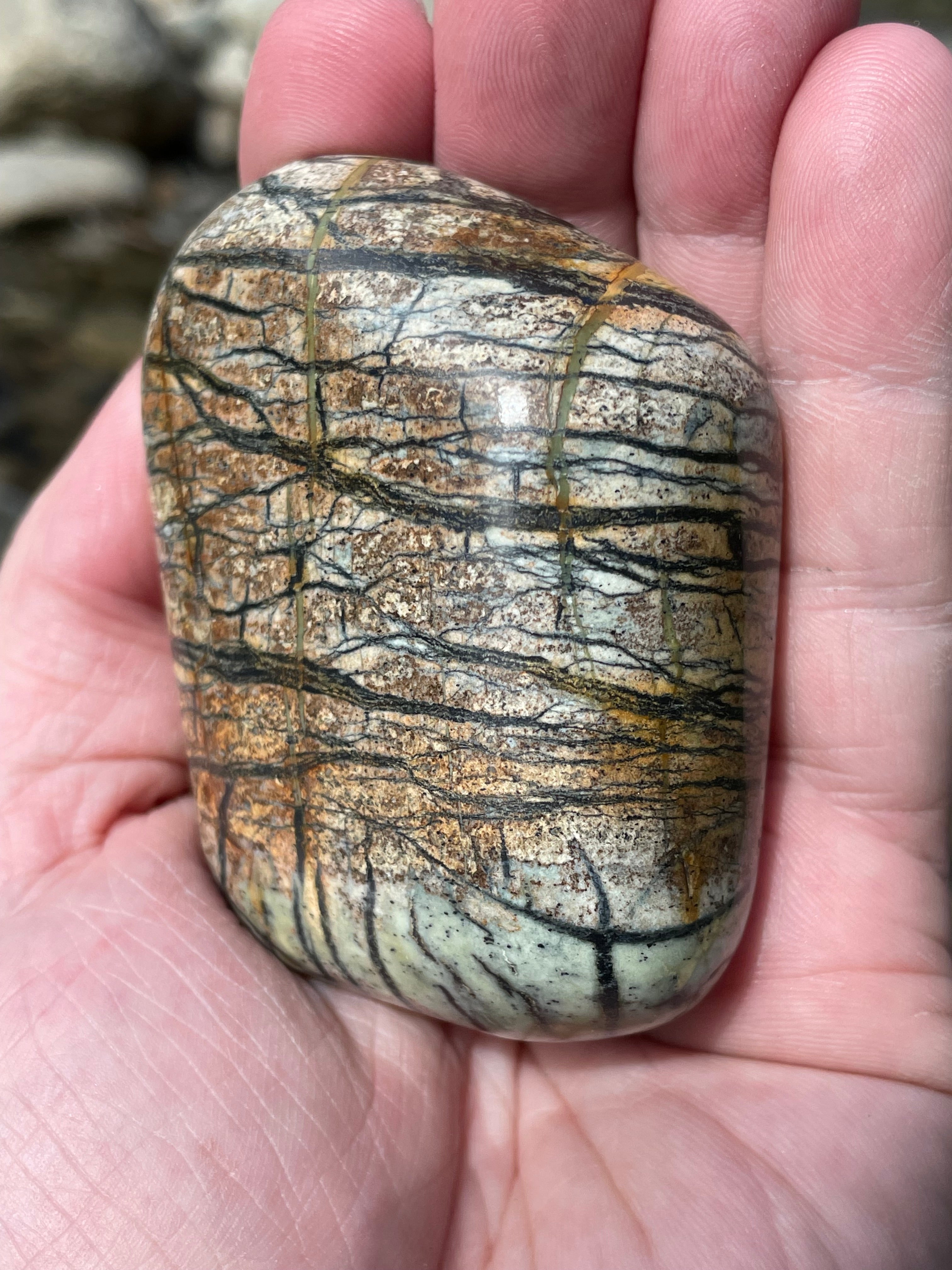 StoneBorn Creations Hand-Polished River Stone Freeform with Natural Black Webbing Patterns and Earthy Veining