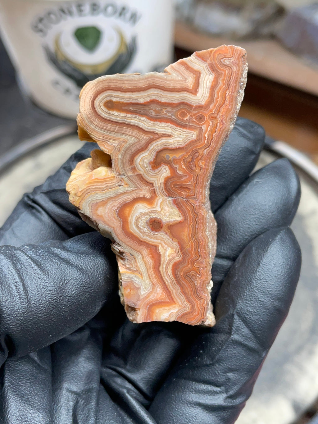 Hand-Polished Georgia Agate – Flat Polished Face, Natural Raw Edge