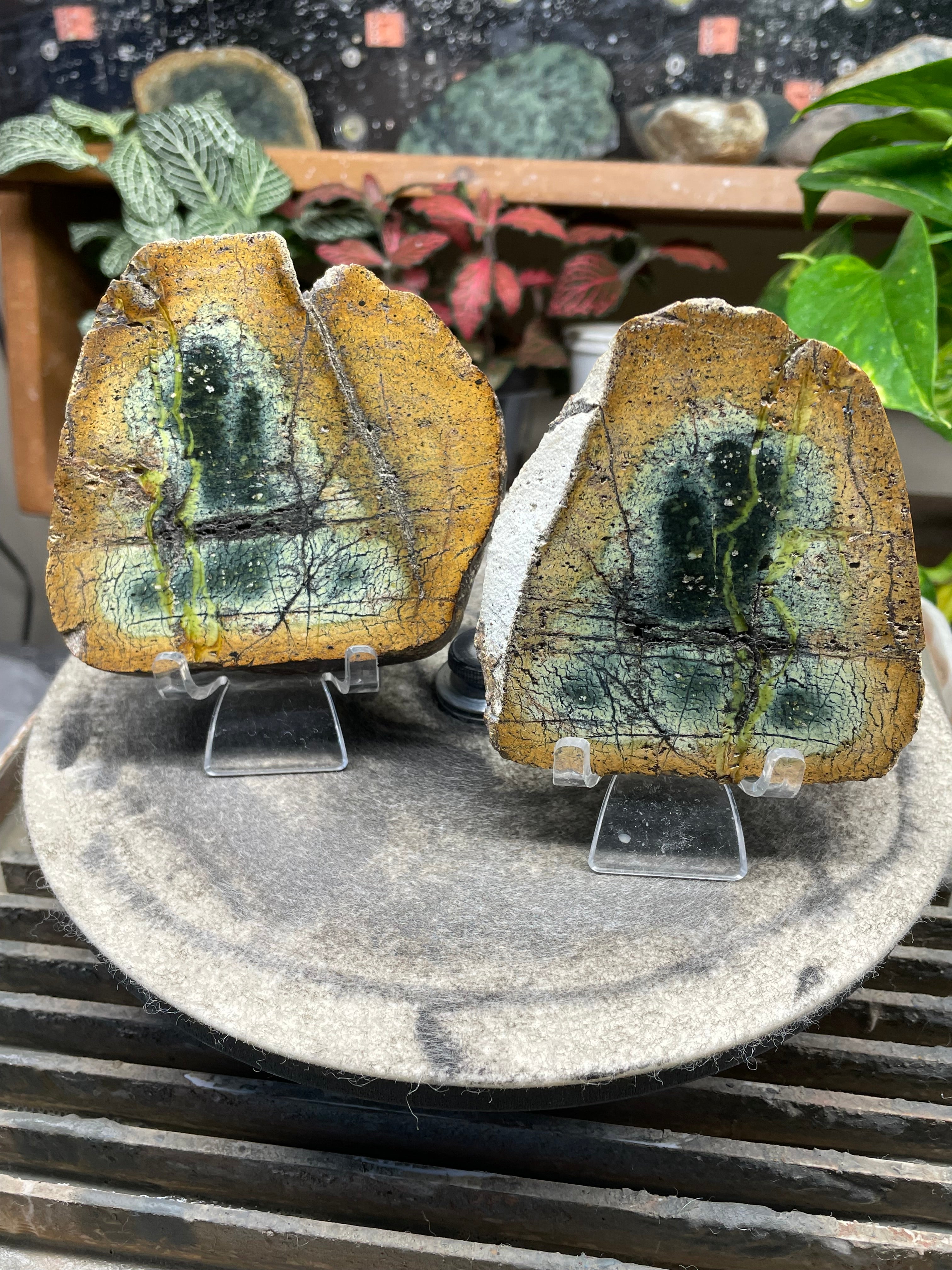 StoneBorn Creations Hand-Polished Vermont Serpentine Pair – River-Cut Matching Halves with Green Mineral Veins & Natural Fracture Patterns