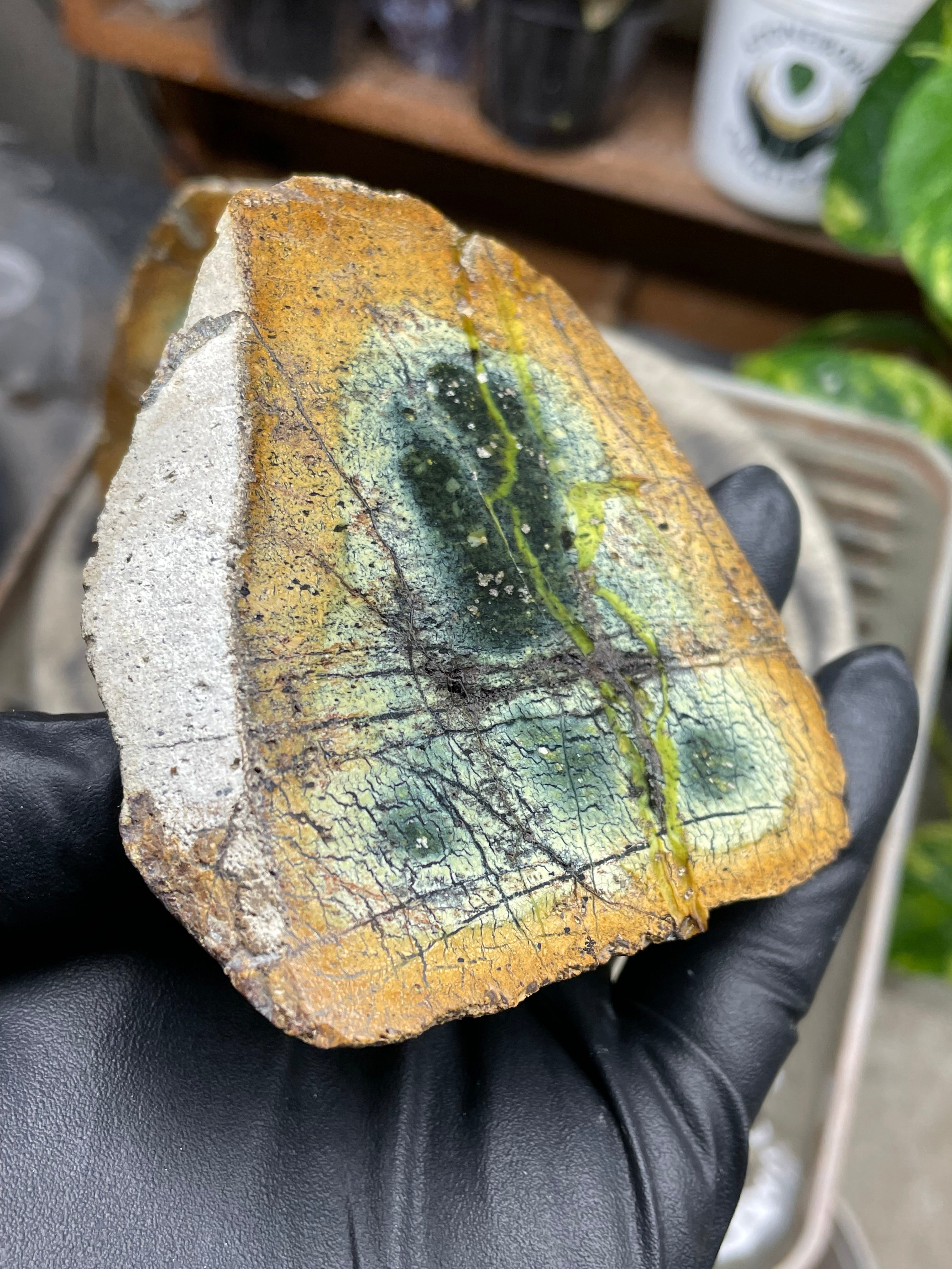 StoneBorn Creations Hand-Polished Vermont Serpentine Pair – River-Cut Matching Halves with Green Mineral Veins & Natural Fracture Patterns