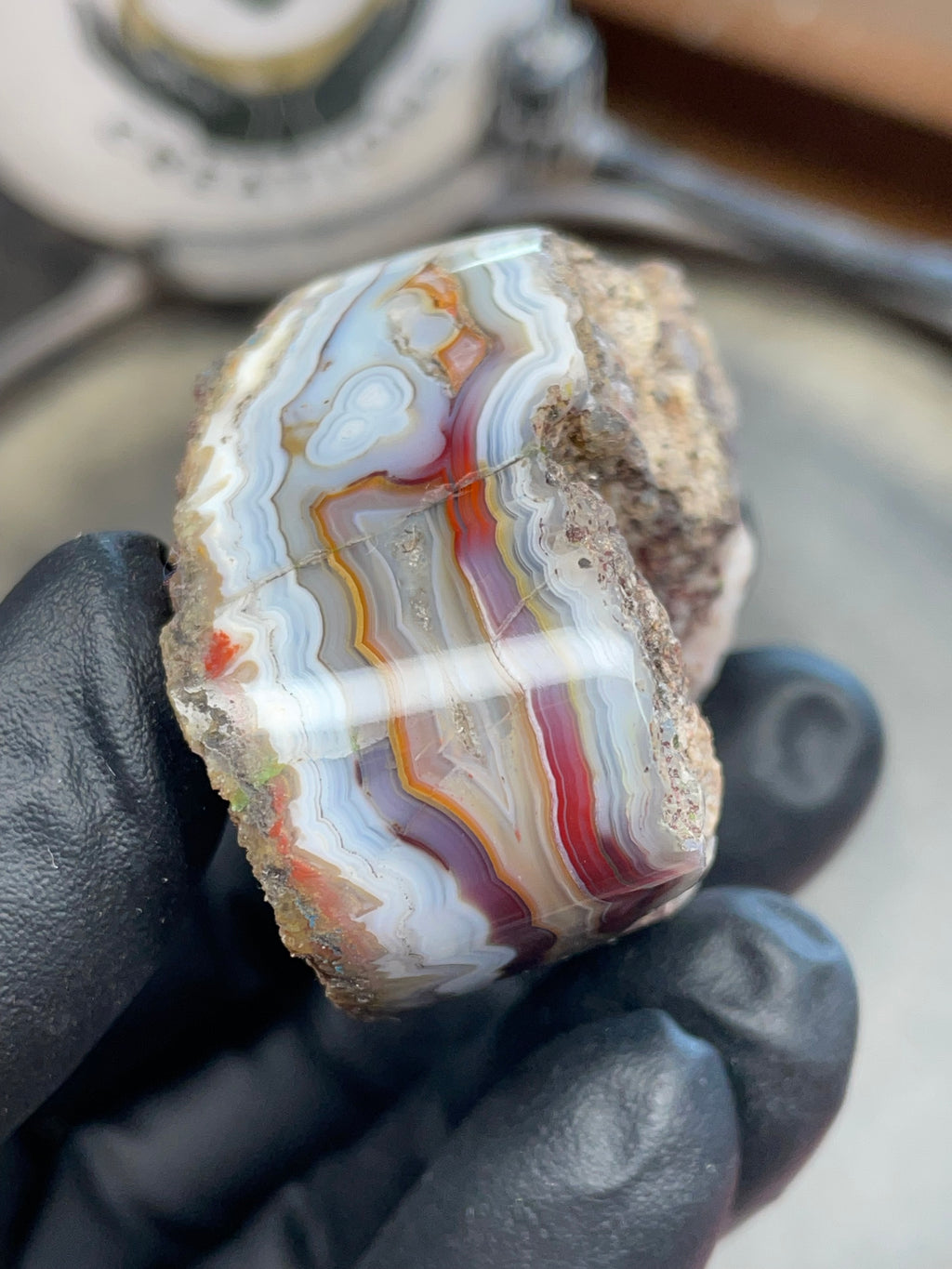 StoneBorn Creations – Hand-Collected & Hand-Polished Fortification Agate (Raw Top & Bottom)