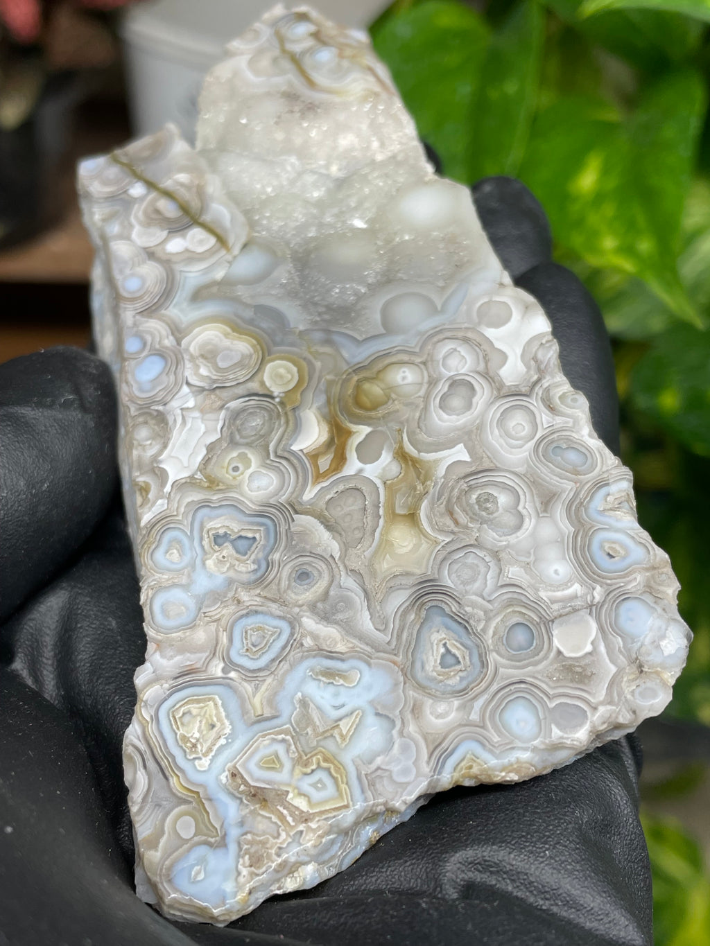 StoneBorn Creations Hand-Polished Lace Agate Pair – River Cut Matching Display Halves with Druzy Crystal Pockets & Intricate Natural Banding