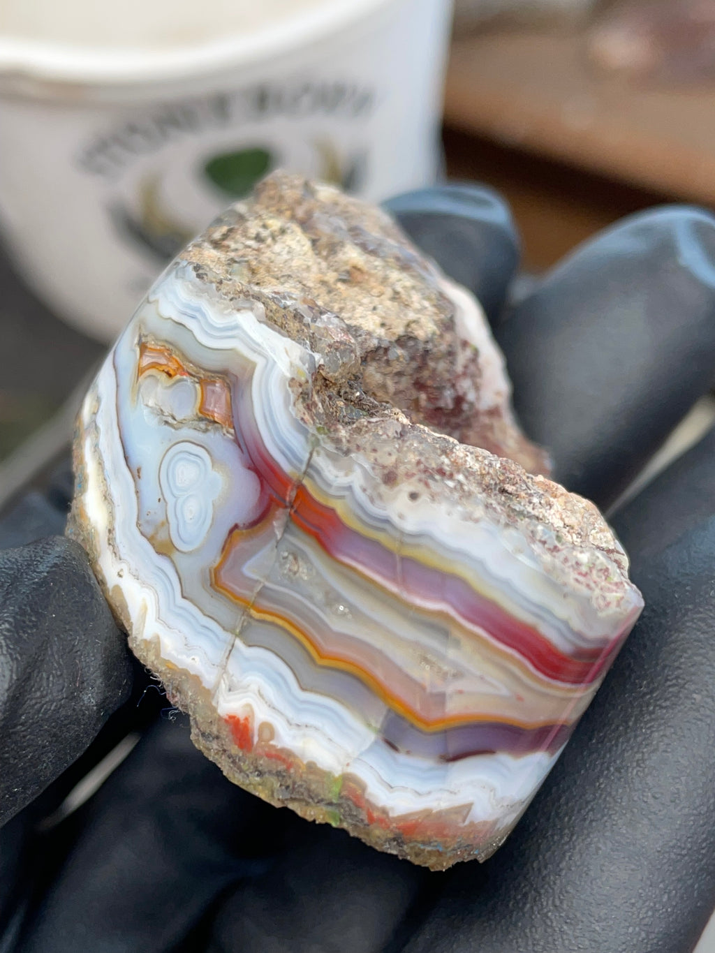 StoneBorn Creations – Hand-Collected & Hand-Polished Fortification Agate (Raw Top & Bottom)