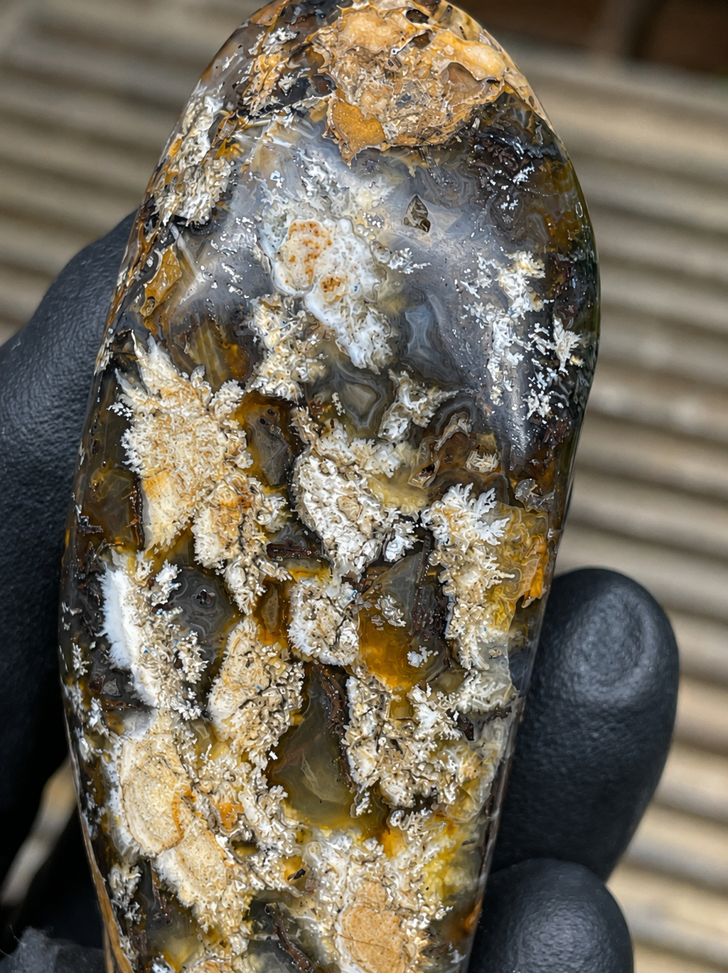 StoneBorn Creations Hand-Polished Trent Agate Freeform with Creamy Plume Inclusions, Druzy Cavities & Earth-Toned Chalcedony