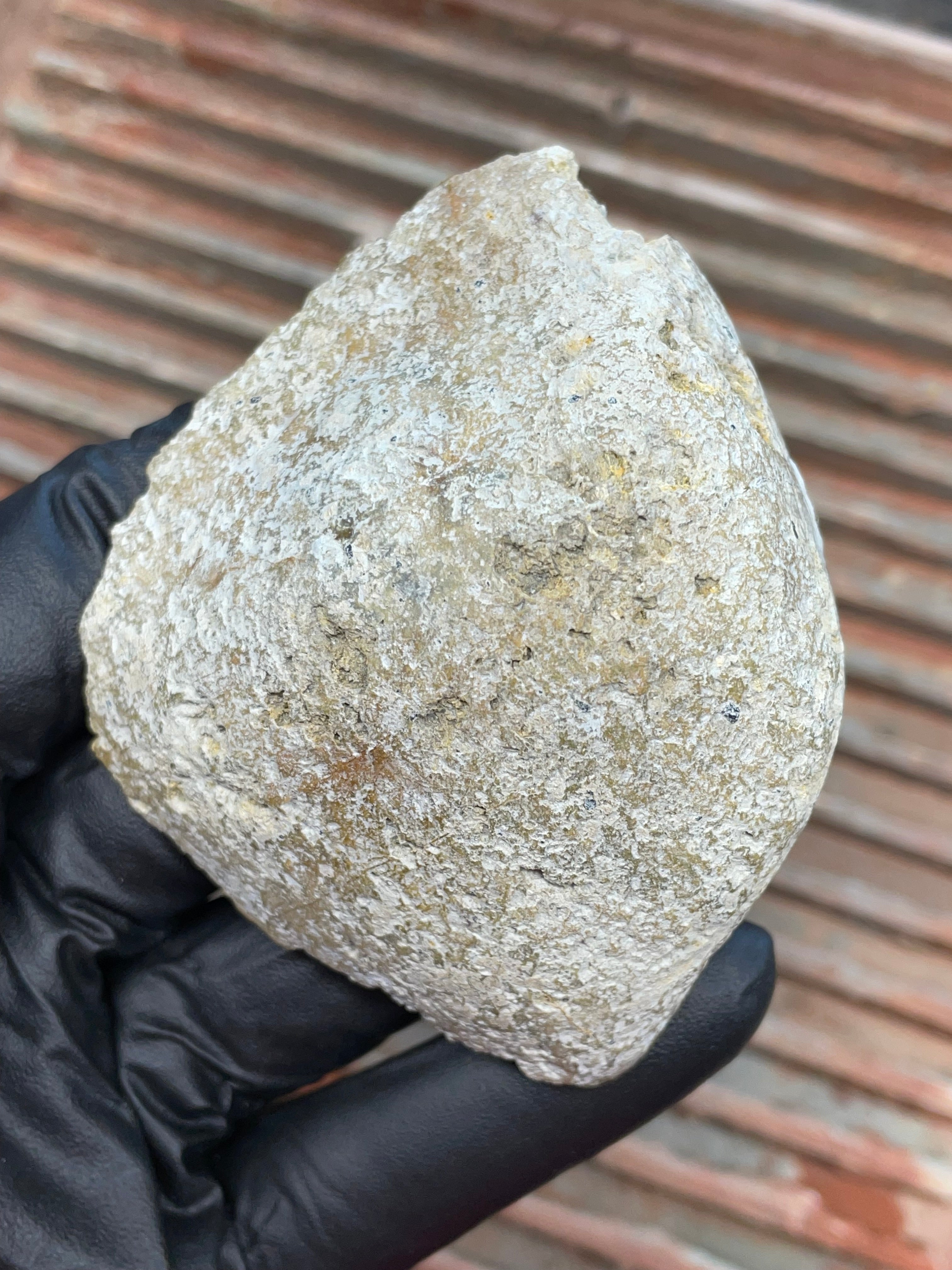 StoneBorn Creations | Polished Vermont Greenstone Slab — Deep Green Core with Golden Weathered Rind