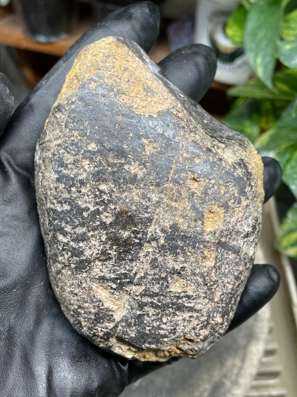 StoneBorn Creations Hand-Polished Vermont Greenstone Pair with Earthy Ochre Weathering and Natural Black Mineral Patterning – Freeform Display Halves