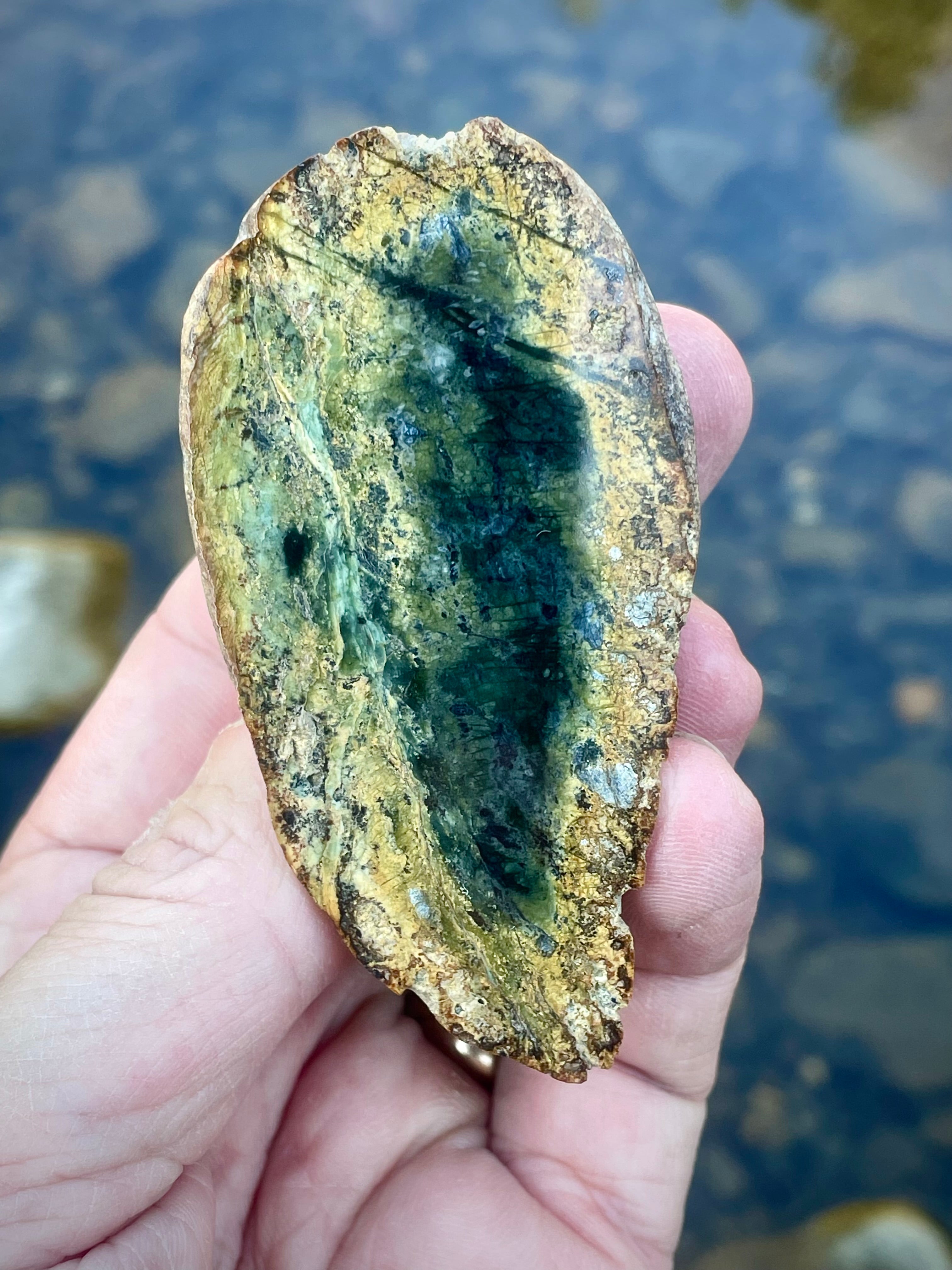 Polished Serpentine Slice • Deep Green “Inner Chamber” With Golden Halo