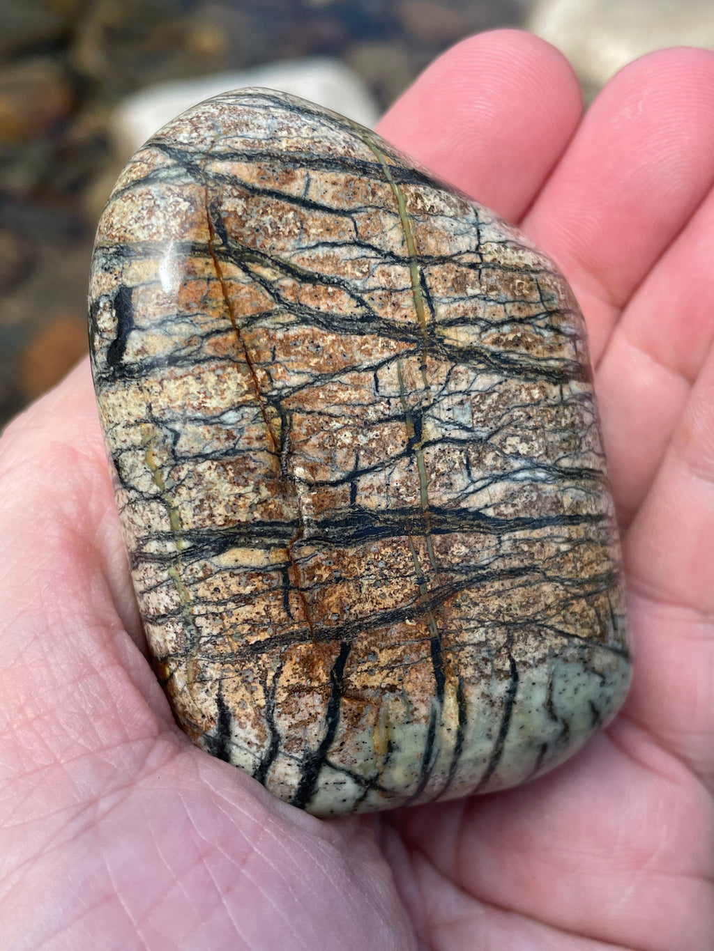 StoneBorn Creations Hand-Polished River Stone Freeform with Natural Black Webbing Patterns and Earthy Veining