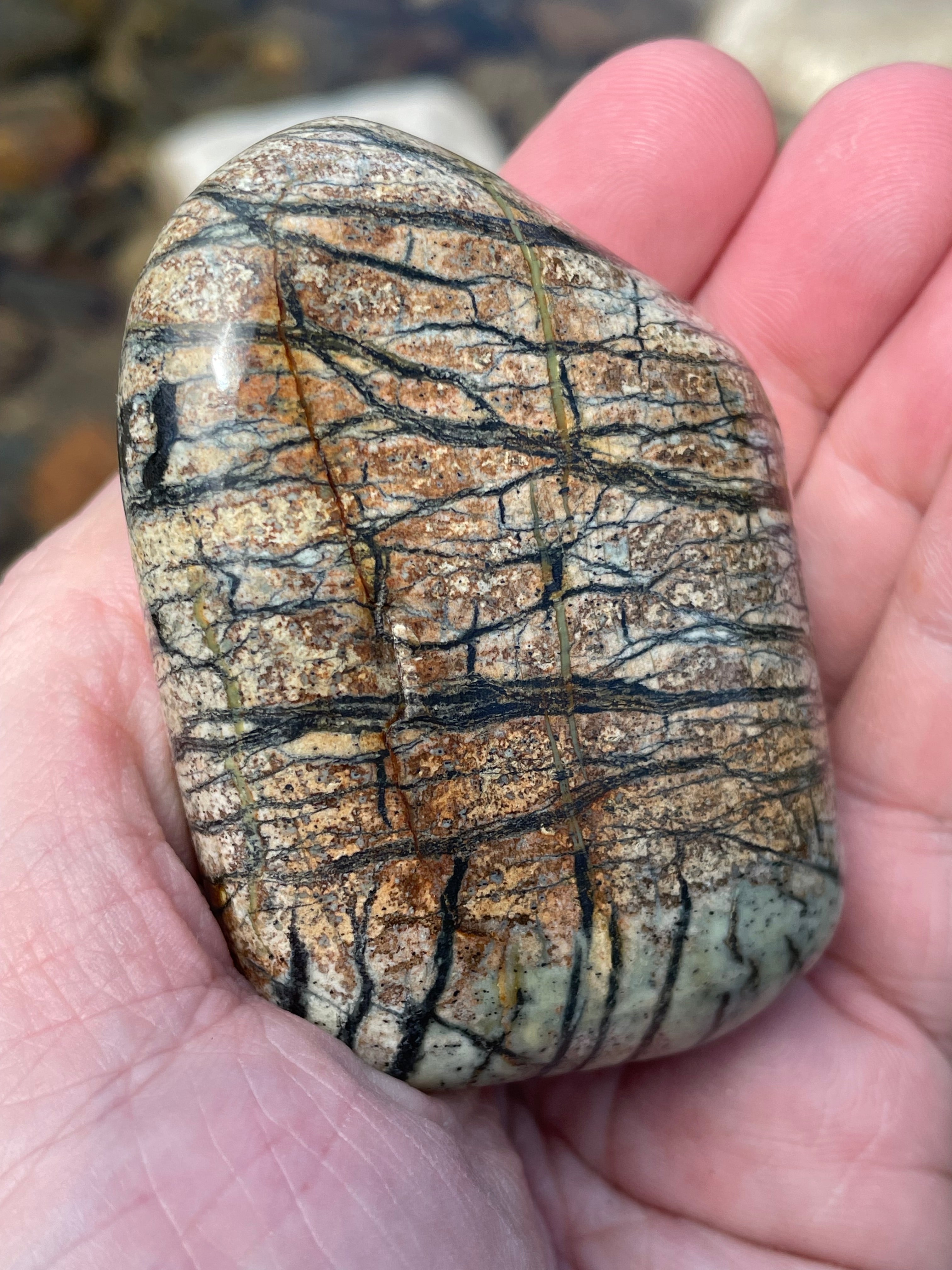 StoneBorn Creations Hand-Polished River Stone Freeform with Natural Black Webbing Patterns and Earthy Veining