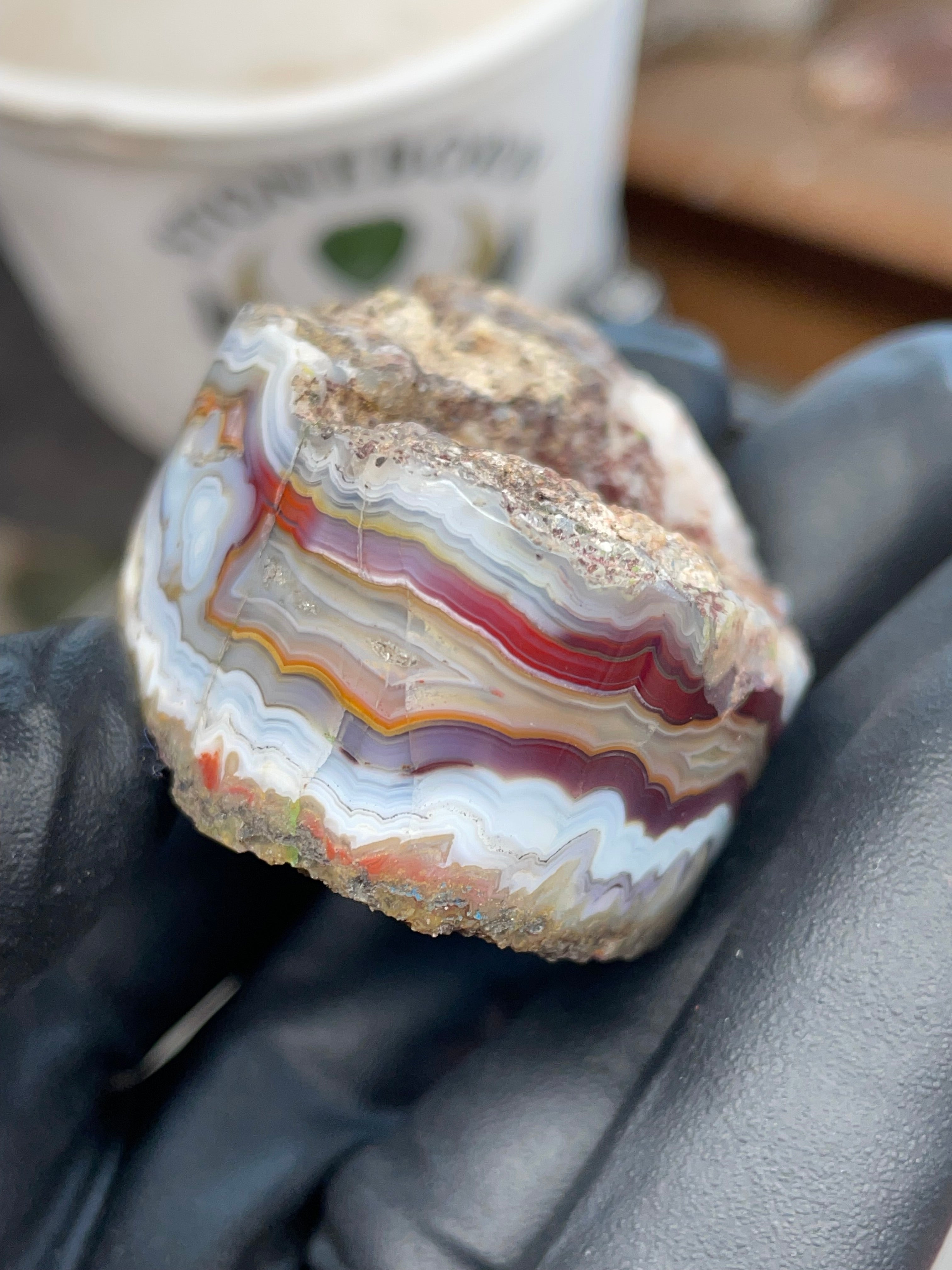 StoneBorn Creations – Hand-Collected & Hand-Polished Fortification Agate (Raw Top & Bottom)