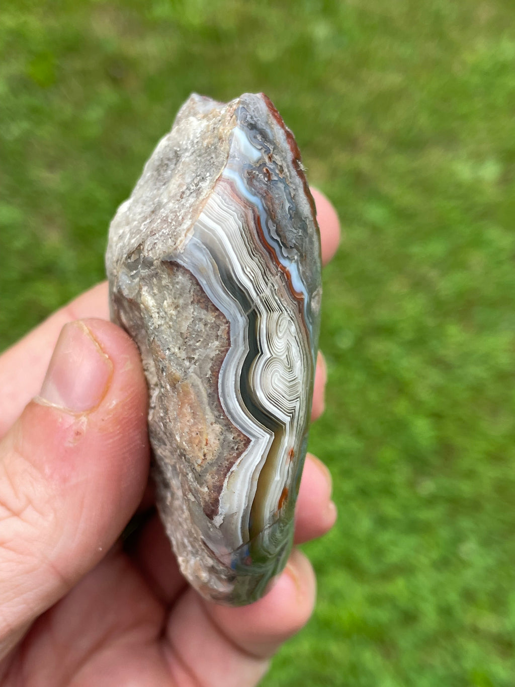 StoneBorn Creations Hand-Polished Curved Lace Agate Freeform with Natural Druzy Quartz Pocket and Fortification Banding