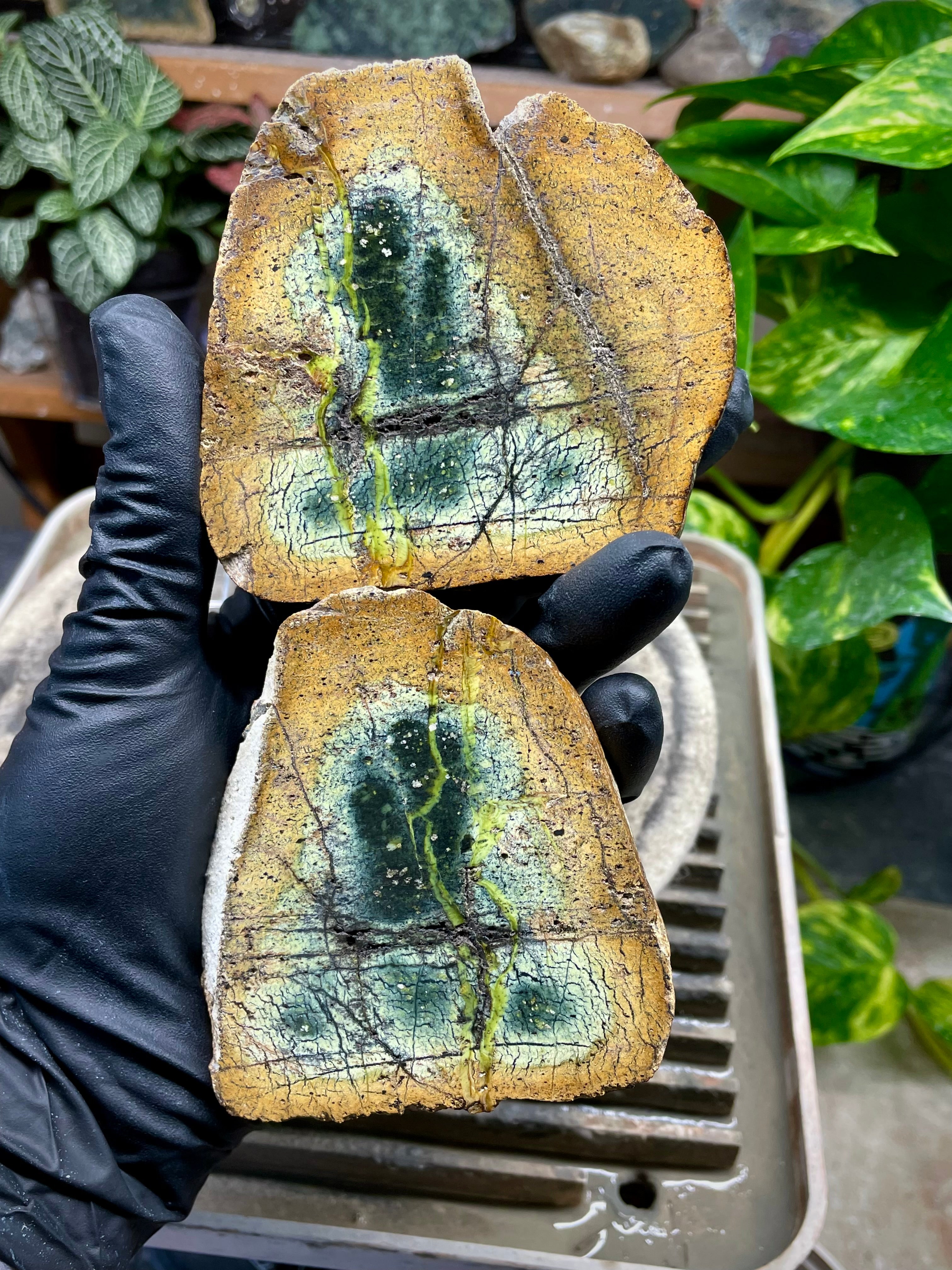 StoneBorn Creations Hand-Polished Vermont Serpentine Pair – River-Cut Matching Halves with Green Mineral Veins & Natural Fracture Patterns