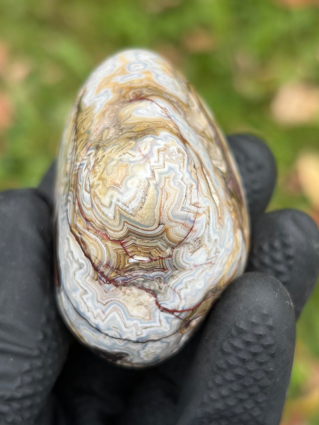StoneBorn Creations – Crazy Lace Agate | Intricate Blue, Cream & Golden Banding | Hand-Polished Natural Stone