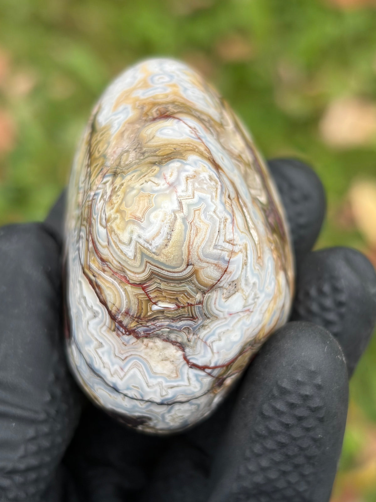 StoneBorn Creations – Crazy Lace Agate | Intricate Blue, Cream & Golden Banding | Hand-Polished Natural Stone