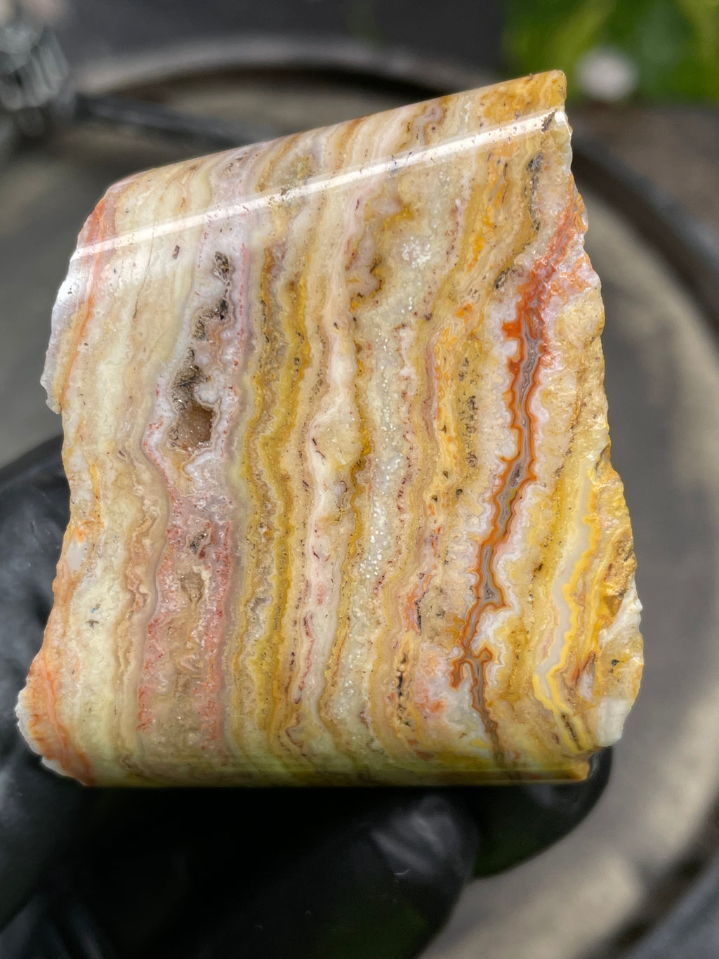 Hand-Polished Banded Agate with Warm Golden Layers and Intricate Lace Patterning