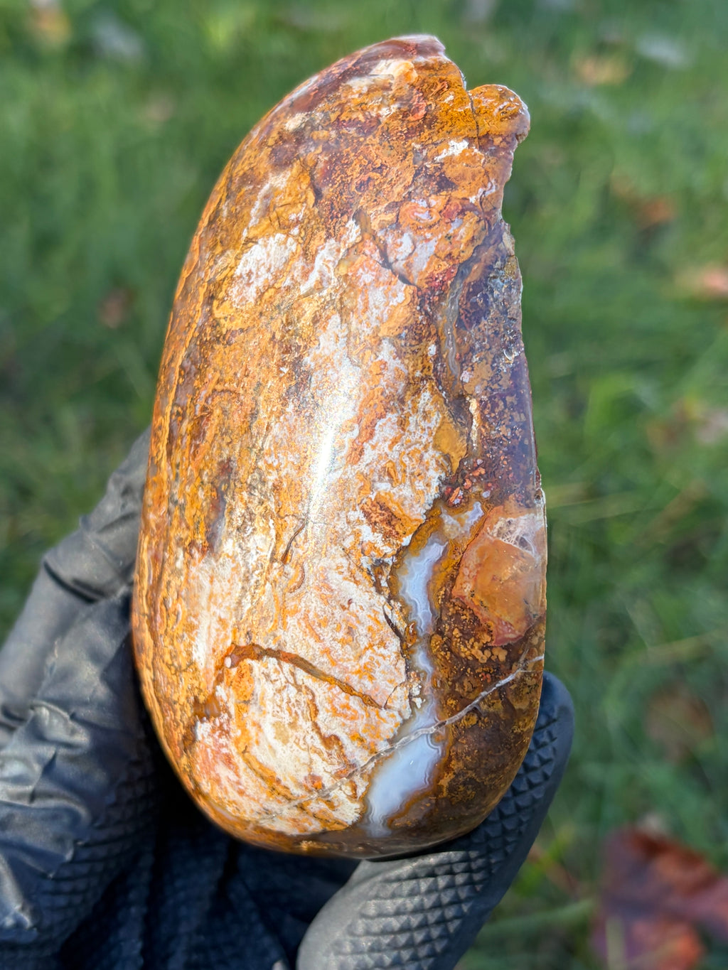 StoneBorn Creations – Natural Agate & Jasper Display Stone | Hand-Polished with Blue-Gray Agate Veins