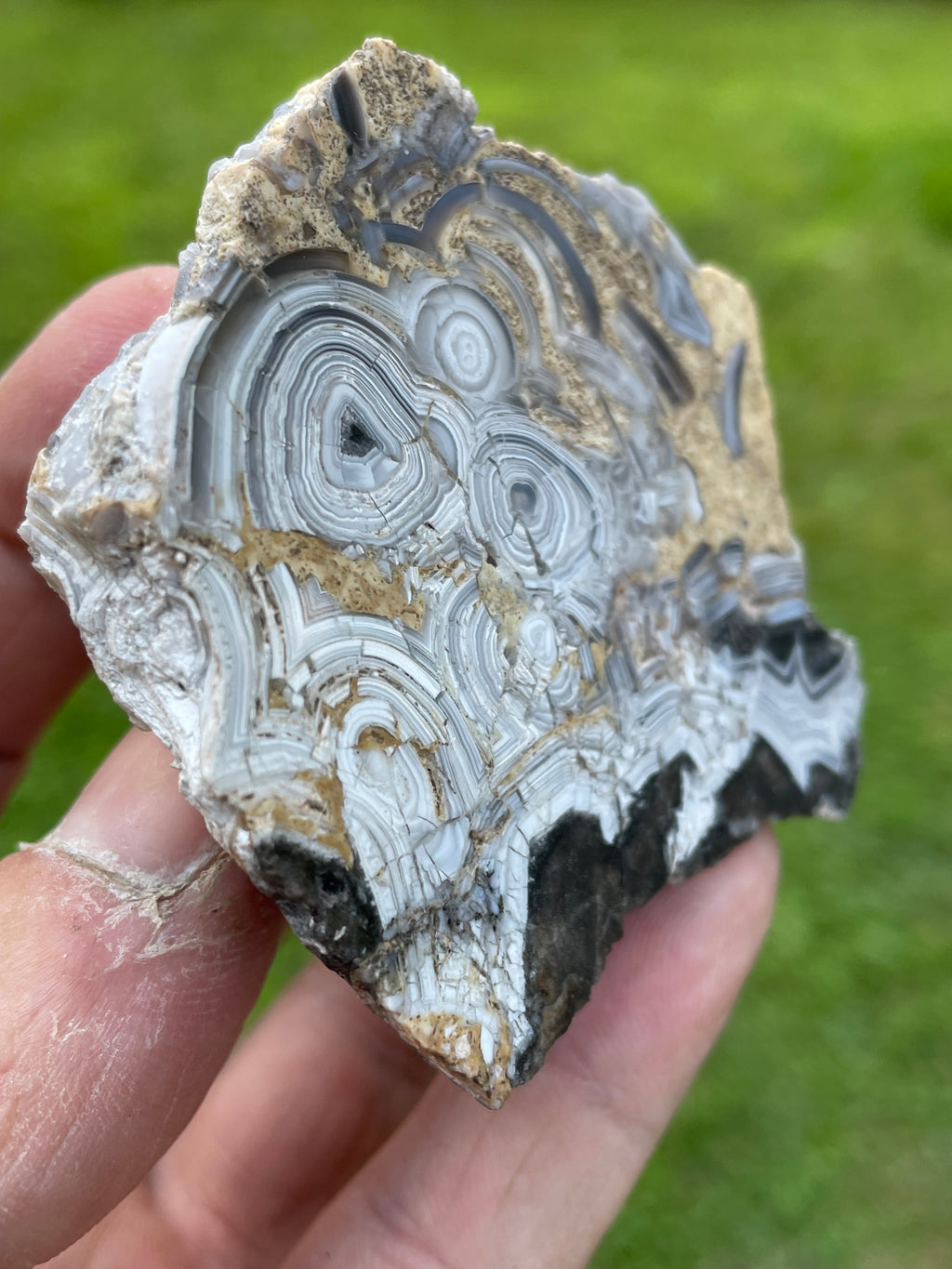 StoneBorn Creations Hand-Polished Tuxedo Lace Agate Bookmatched Pair | One-of-a-Kind Natural Display Stones