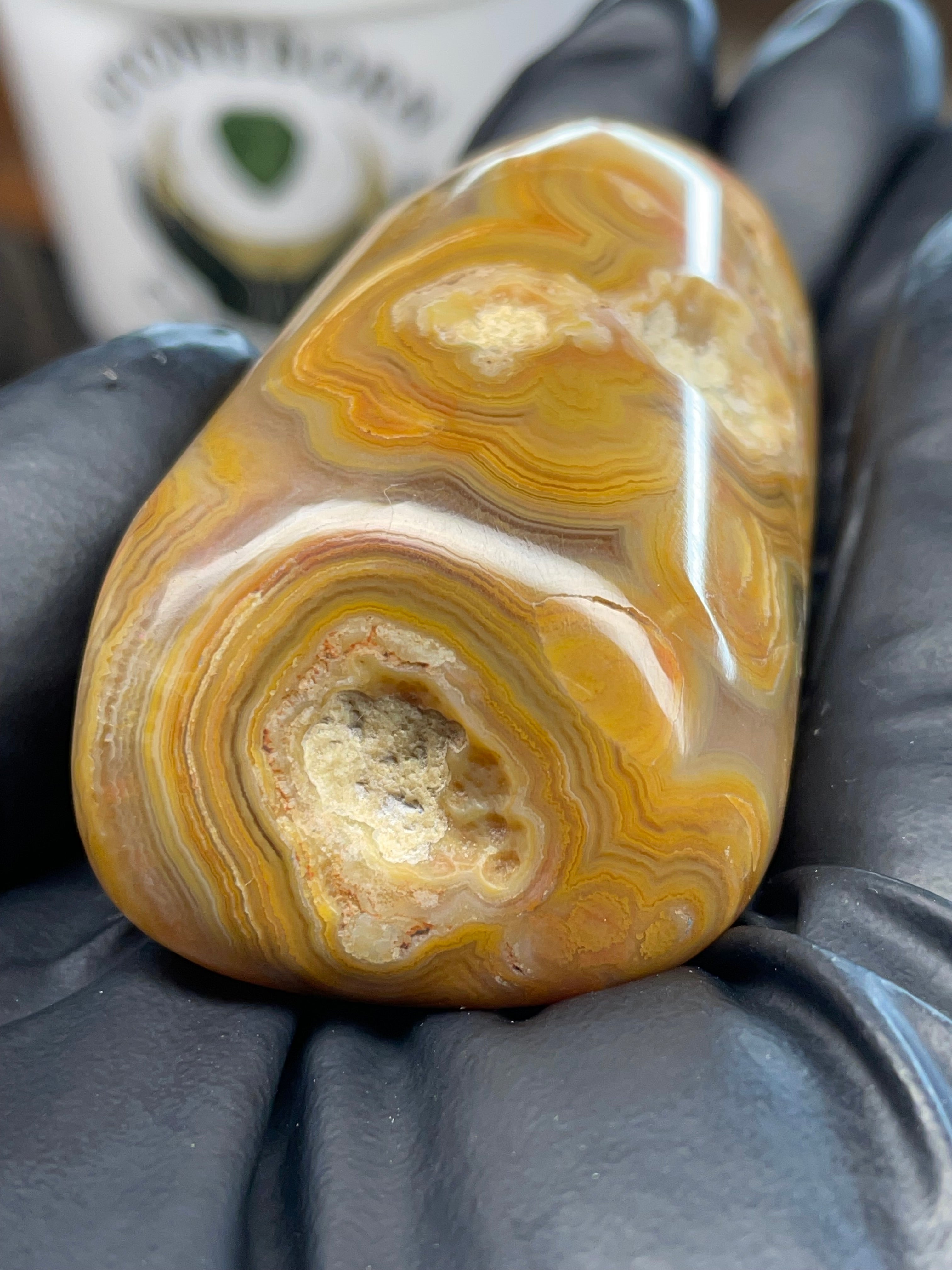 🌾 Crowley Ridge Agate — Hand Polished Stone | StoneBorn Creations