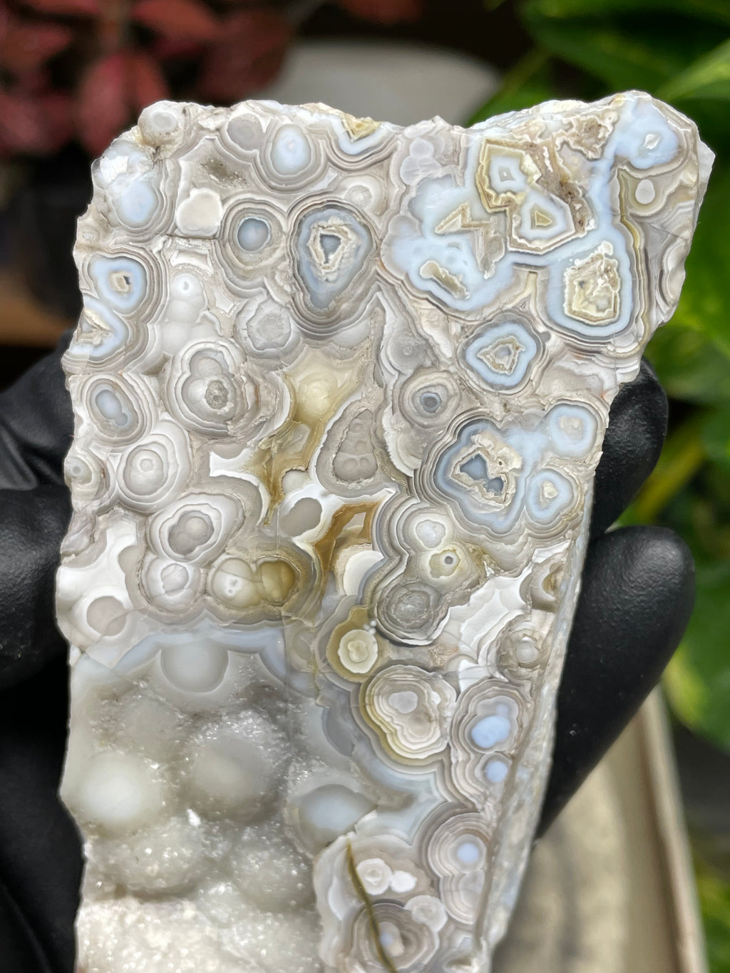 StoneBorn Creations Hand-Polished Lace Agate Pair – River Cut Matching Display Halves with Druzy Crystal Pockets & Intricate Natural Banding