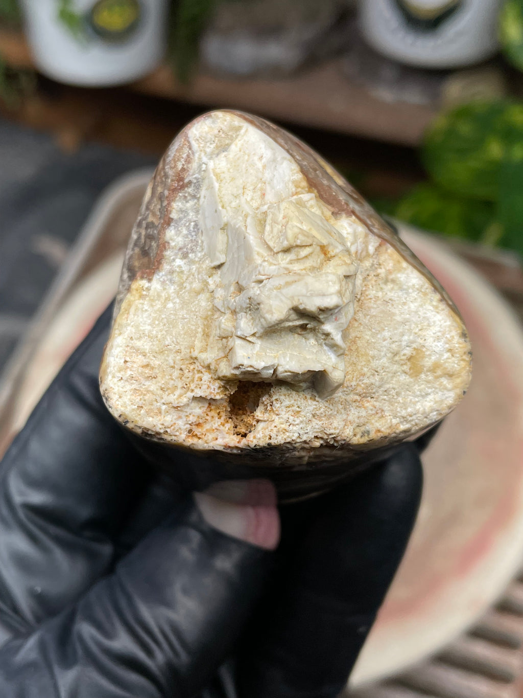 StoneBorn Creations Hand-Polished Banded Lace Agate with Natural Raw Top and Base – Intricate Earth-Toned Banding Freeform Finish