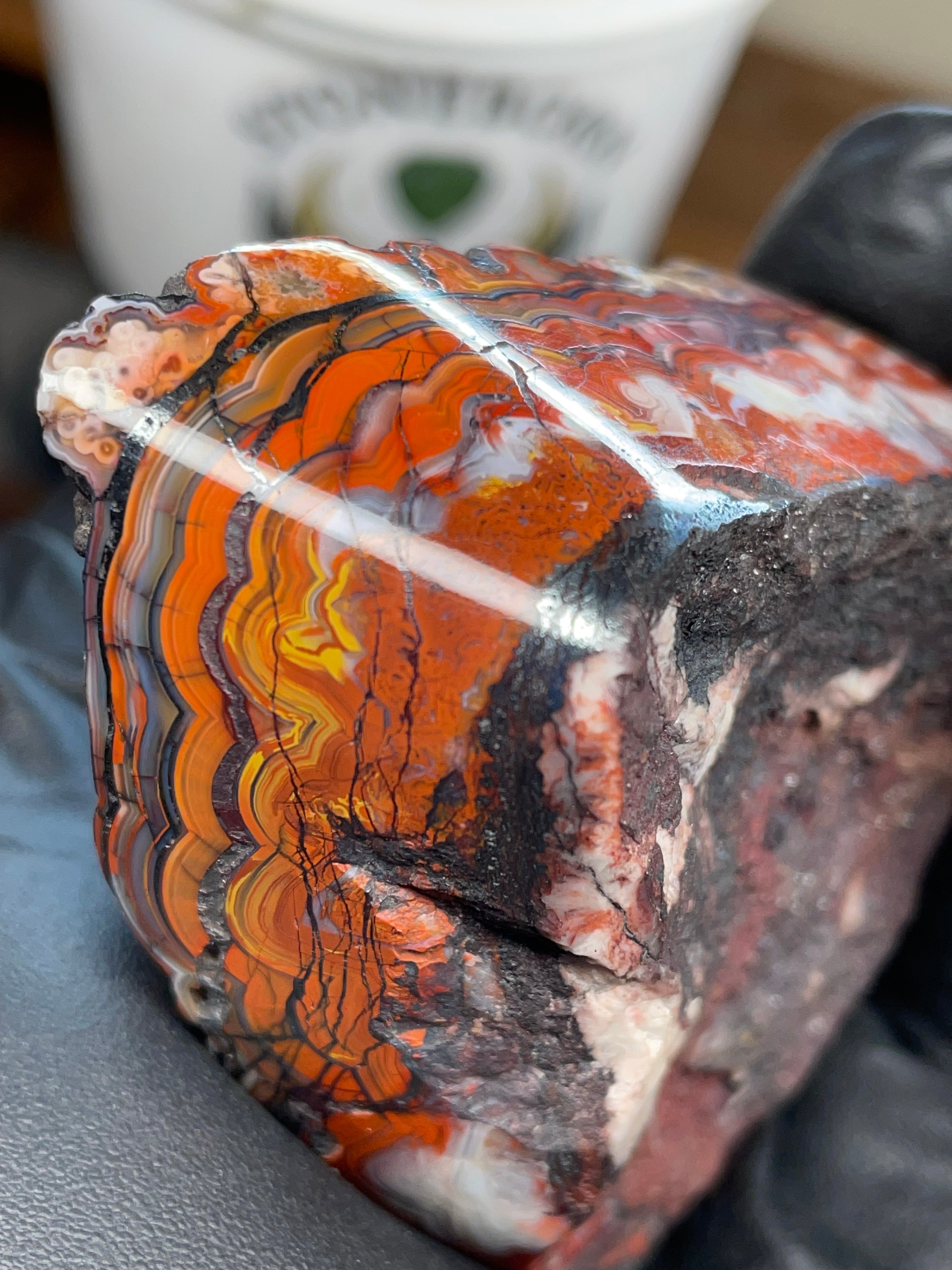 Hand Polished Banded Agate (Raw + Refined Edge)