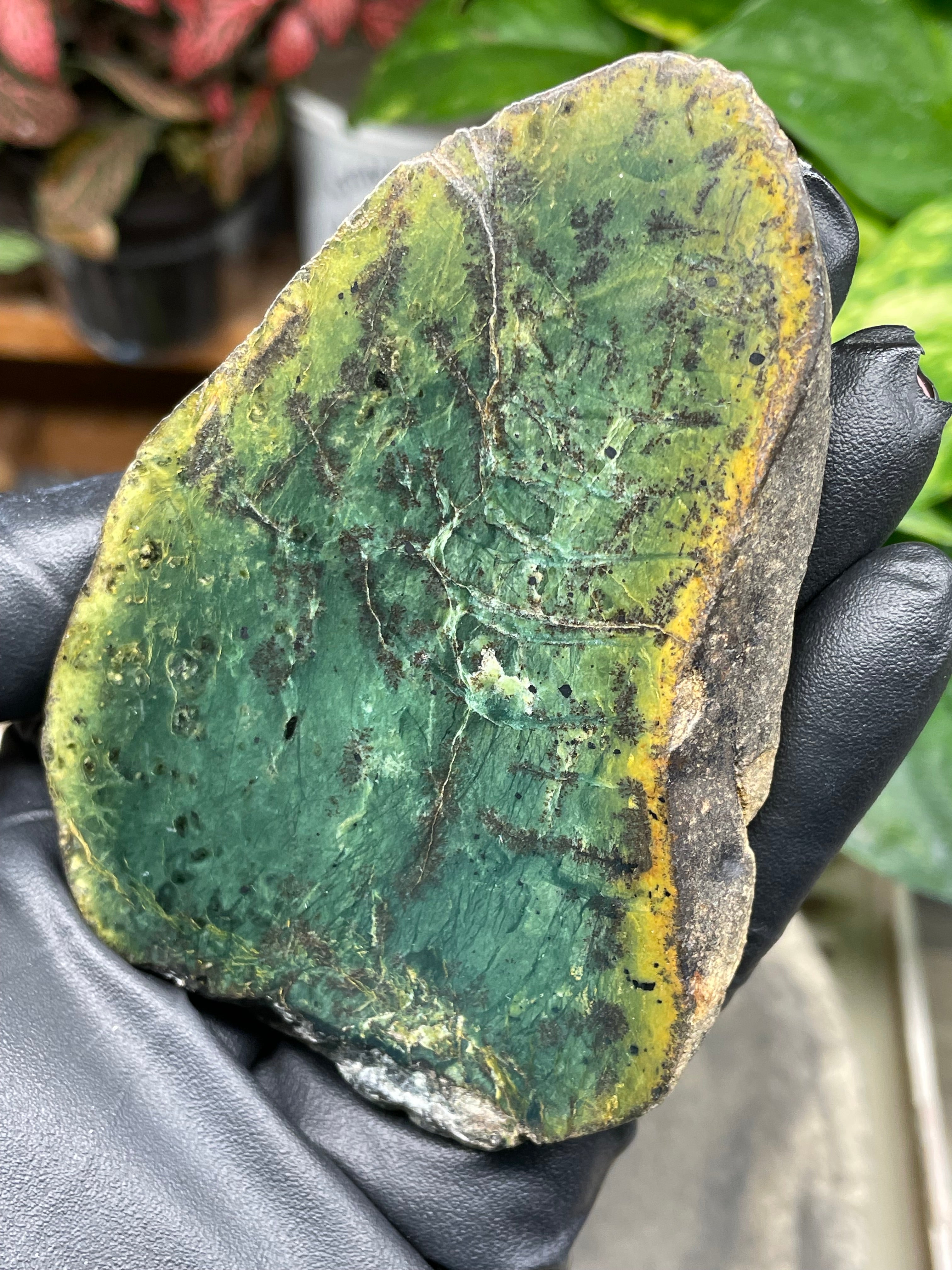 StoneBorn Creations Hand-Polished Vermont Greenstone Pair – Deep Emerald Interior Freeform Halves with Natural Earthy Matrix