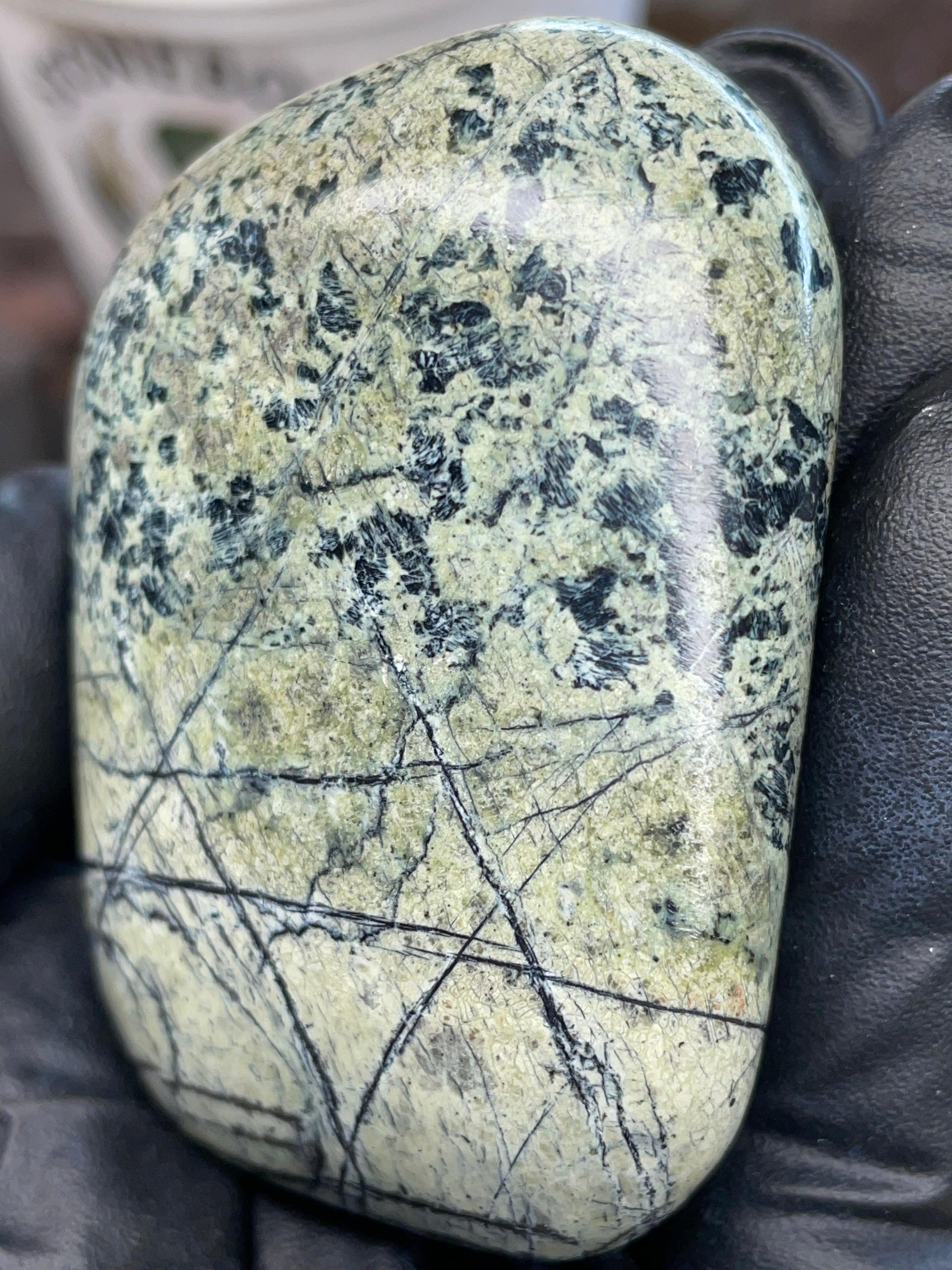 Hand Polished Veined Serpentine • StoneBorn Original