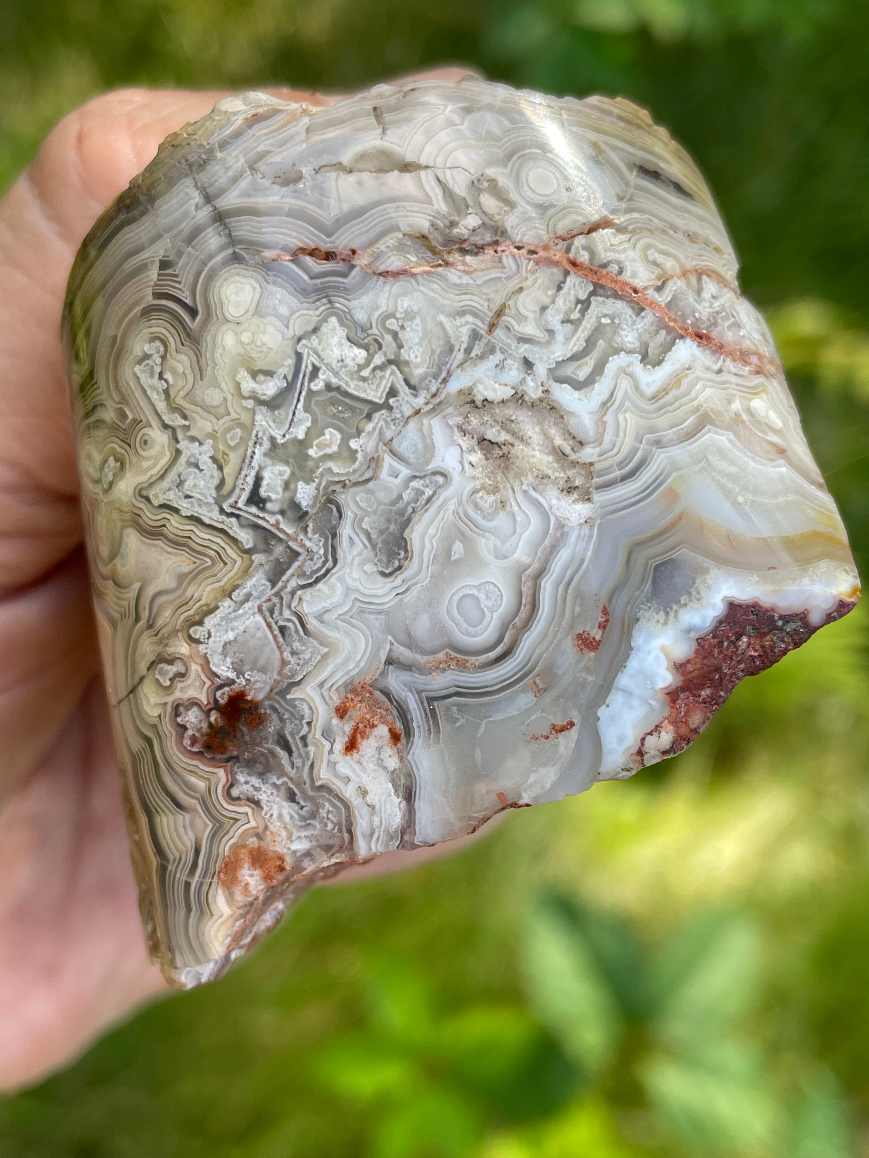 StoneBorn Creations Hand-Polished Lace Agate Freeform with Intricate Fortification Banding, Orbicular Eyes & Natural Druzy Quartz Pocket