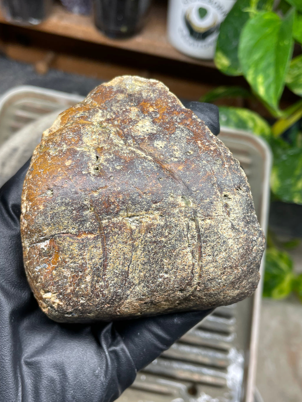StoneBorn Creations Hand-Polished Vermont Serpentine Pair – River-Cut Matching Halves with Green Mineral Veins & Natural Fracture Patterns