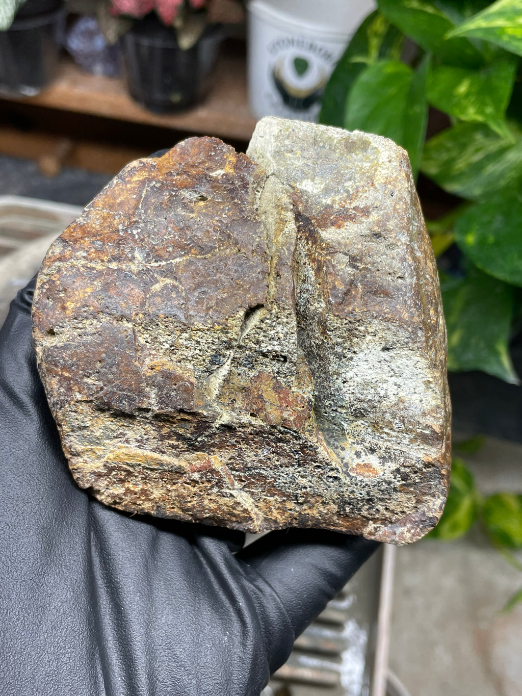 StoneBorn Creations Hand-Polished Vermont Serpentine Pair – River-Cut Matching Halves with Green Mineral Veins & Natural Fracture Patterns