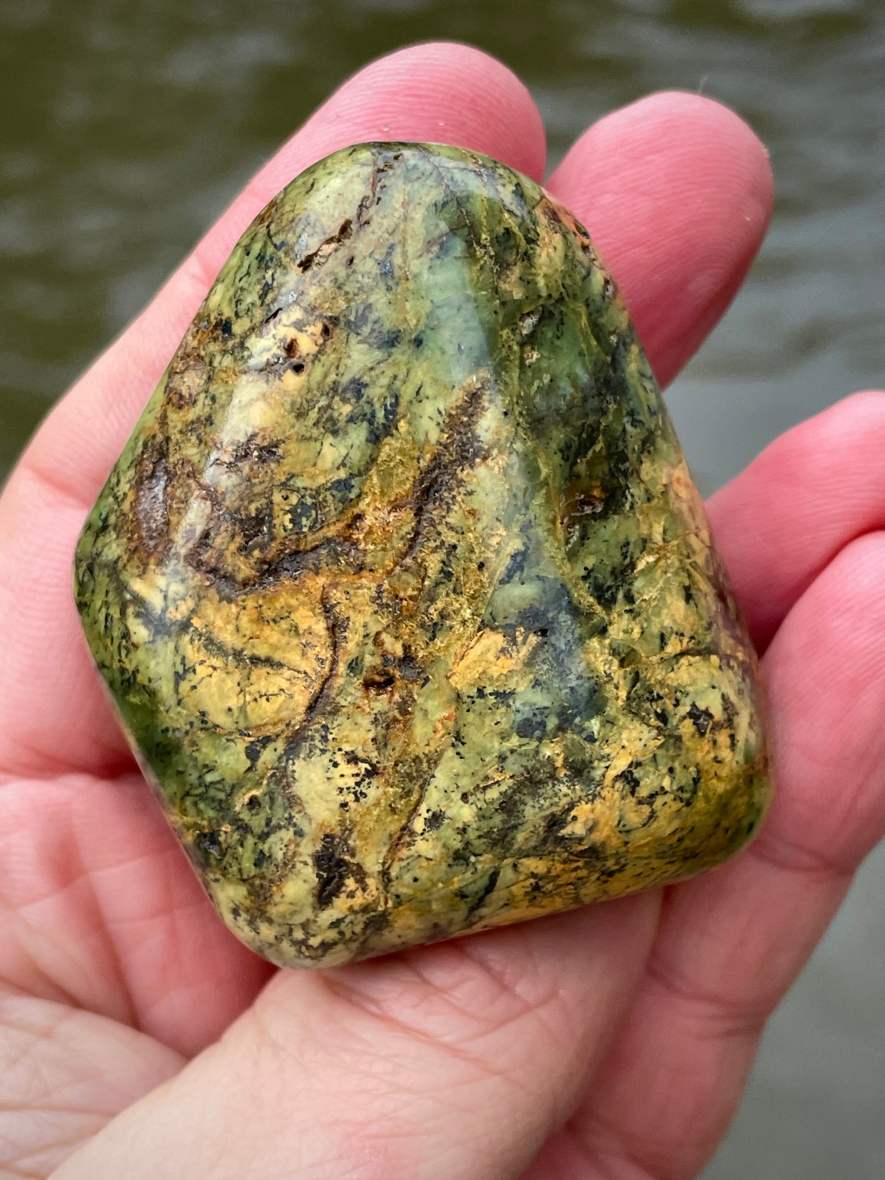 🌲 Polished Vermont Greenstone – Earth-Gold Forest Pattern (Hand-Collected & Polished)