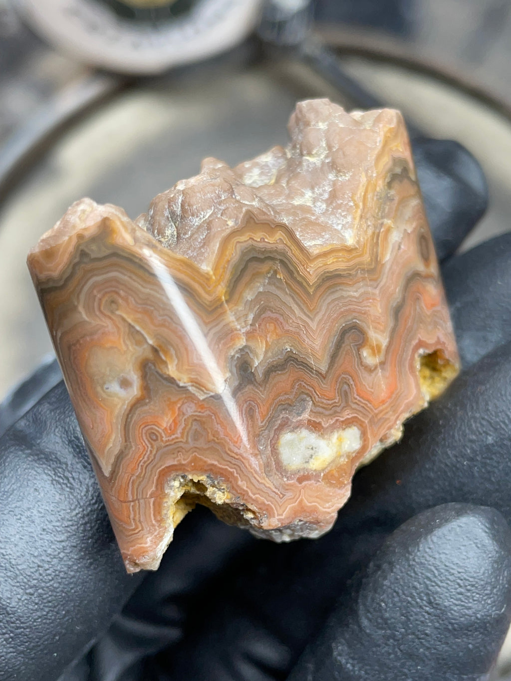StoneBorn Creations Hand-Polished Georgia Crazy Lace Agate with Natural Quartz Vein & Raw Matrix