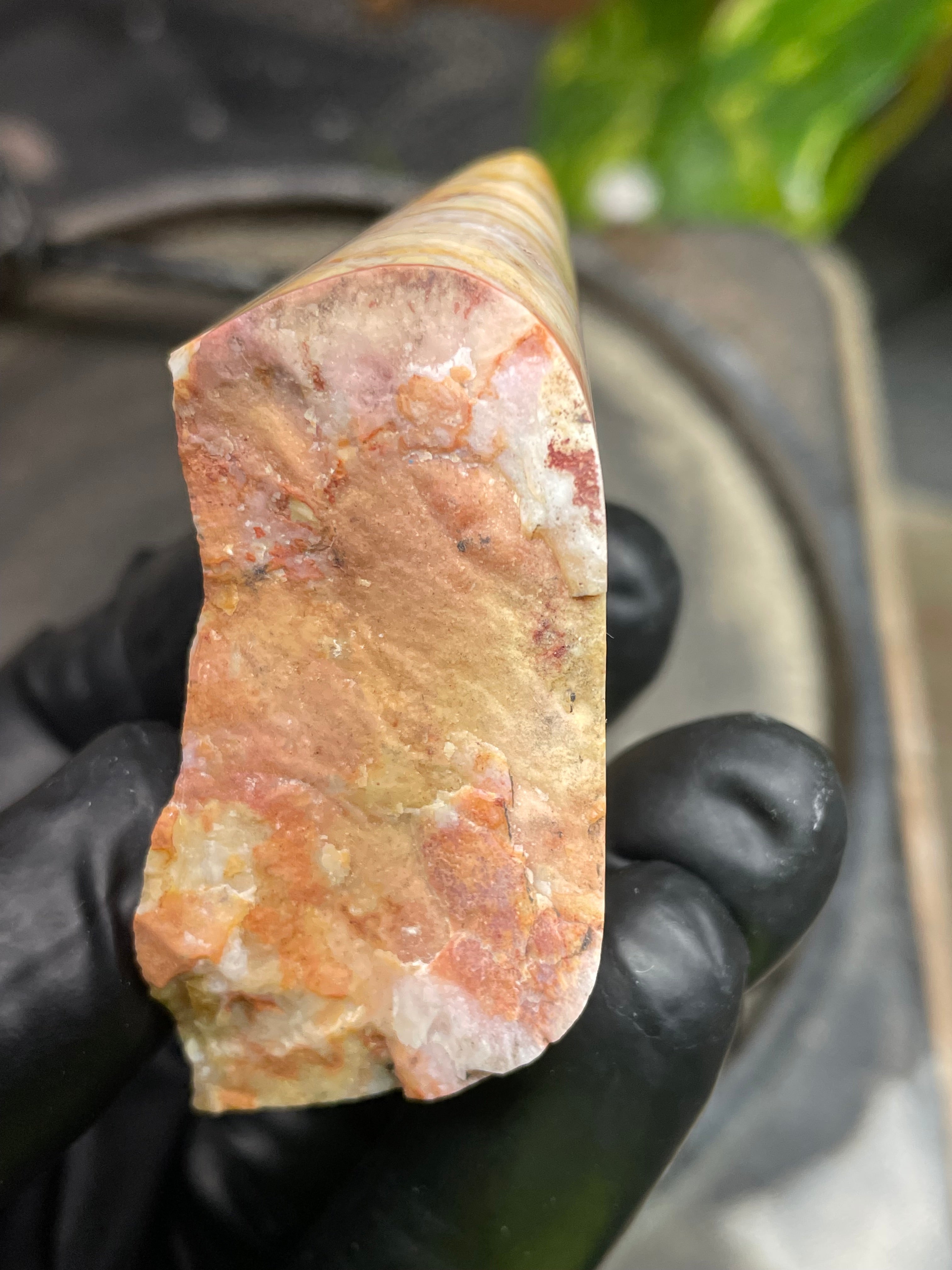 Hand-Polished Banded Agate with Warm Golden Layers and Intricate Lace Patterning