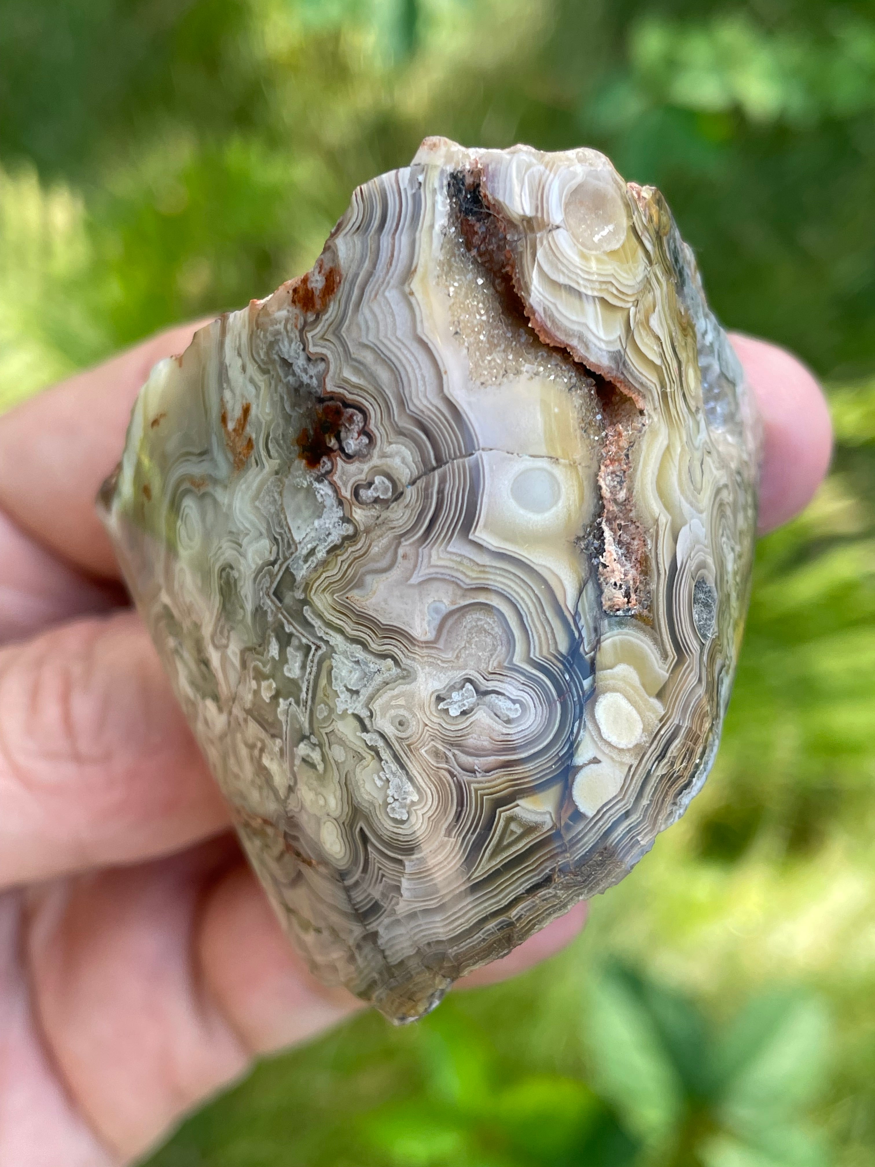 StoneBorn Creations Hand-Polished Lace Agate Freeform with Intricate Fortification Banding, Orbicular Eyes & Natural Druzy Quartz Pocket