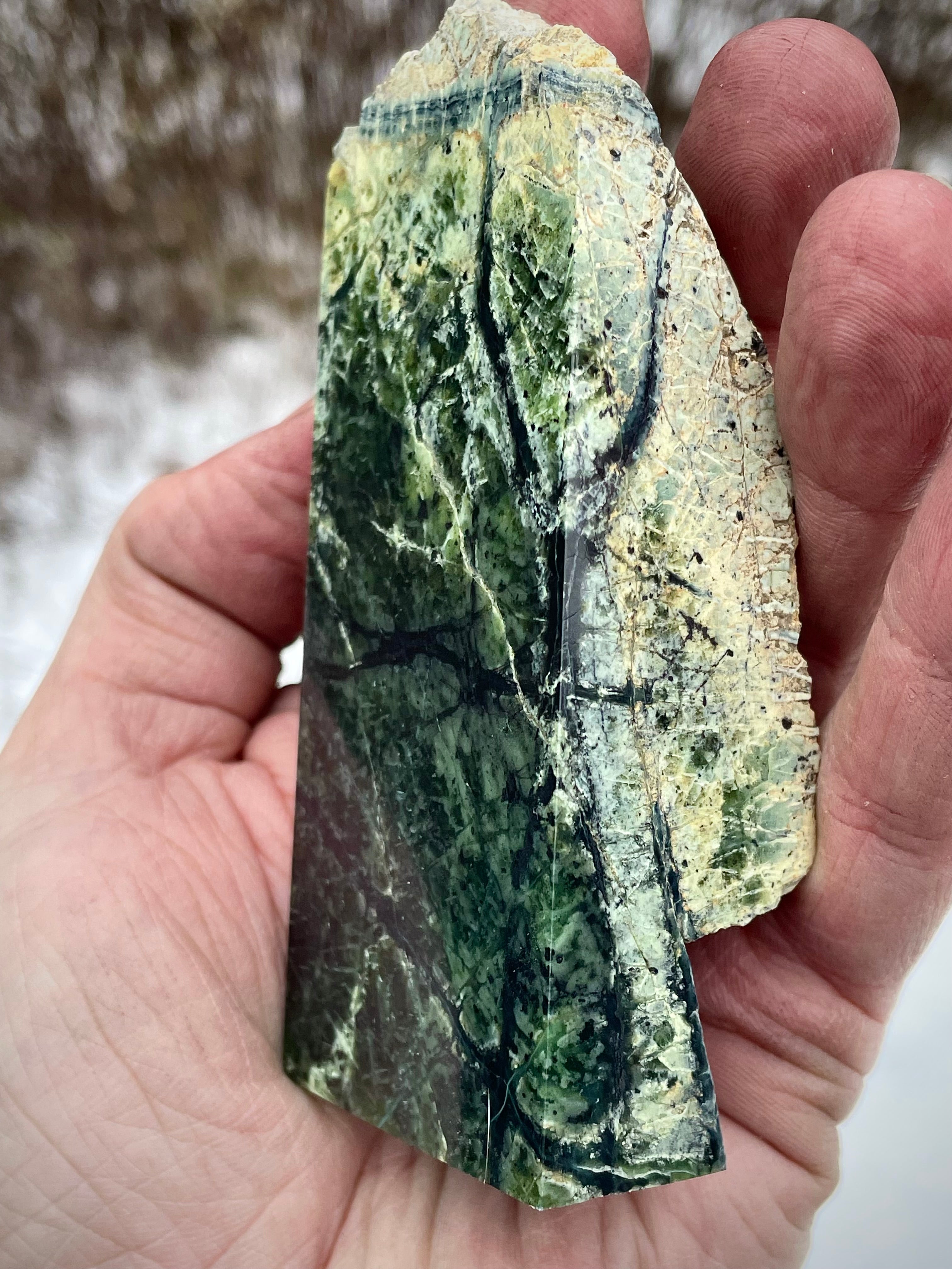 🌲 Polished Vermont Greenstone – Deep Veined Standing Stone (Hand-Collected & Polished)
