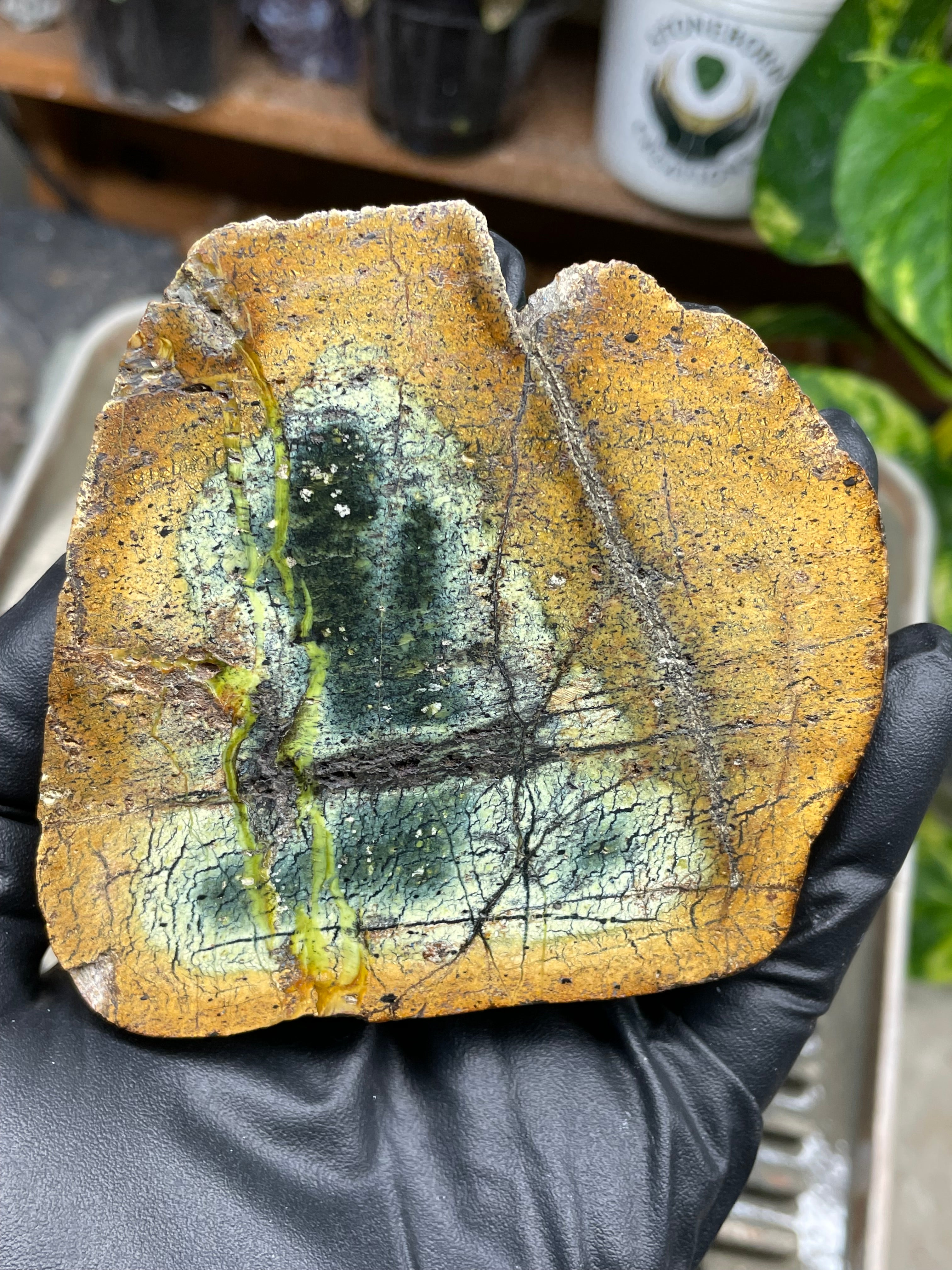 StoneBorn Creations Hand-Polished Vermont Serpentine Pair – River-Cut Matching Halves with Green Mineral Veins & Natural Fracture Patterns