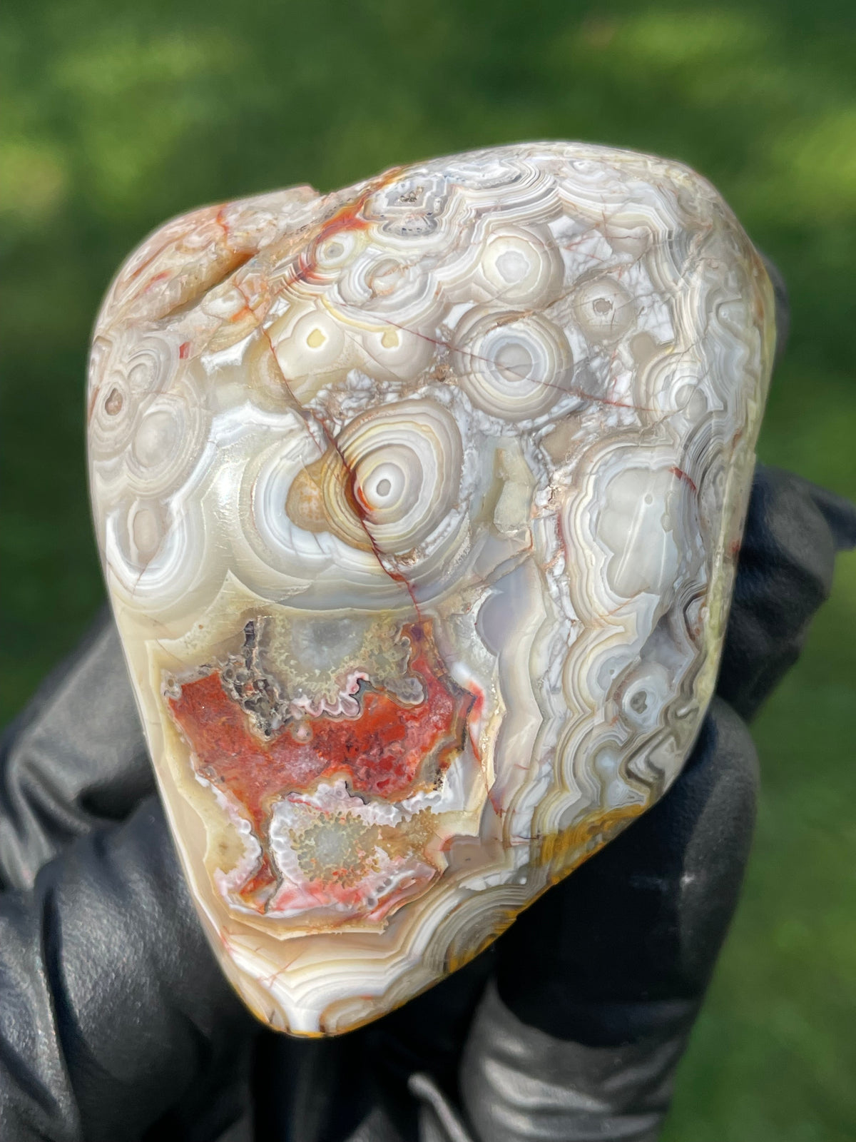 StoneBorn Creations Crazy Lace Agate Freeform – Hand Polished Natural Specimen