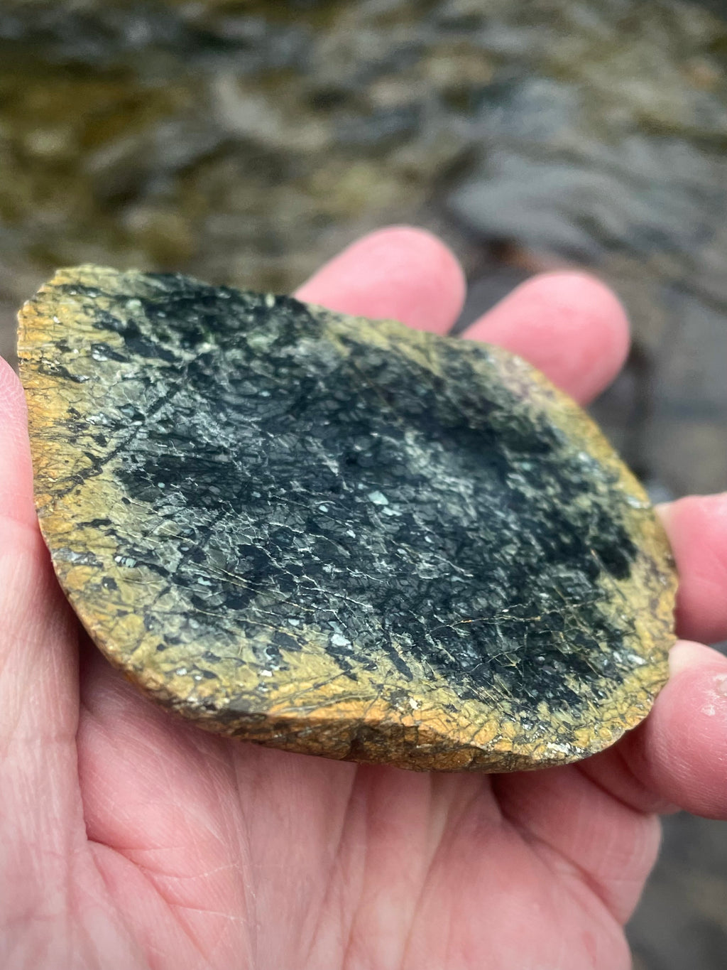 🌲 Hand-Polished Vermont Green Serpentine Slice – Deep Forest Patterning