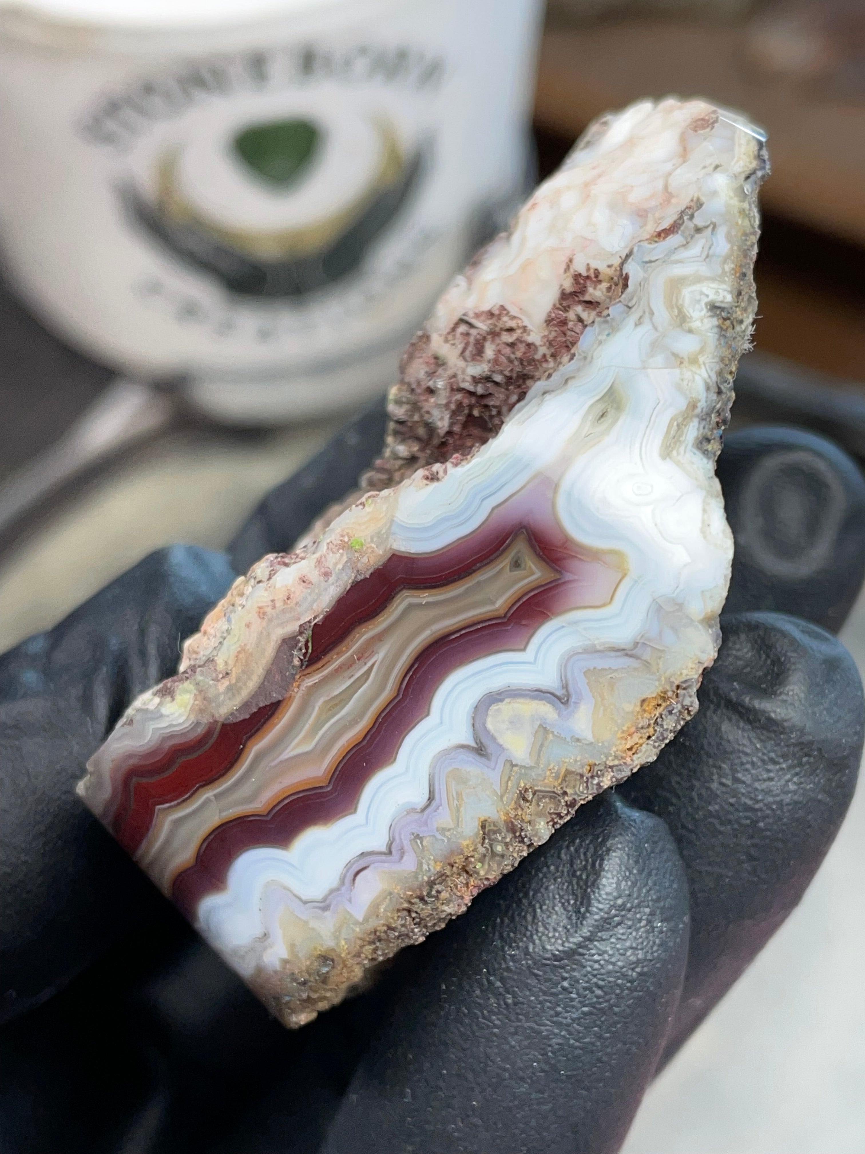 StoneBorn Creations – Hand-Collected & Hand-Polished Fortification Agate (Raw Top & Bottom)