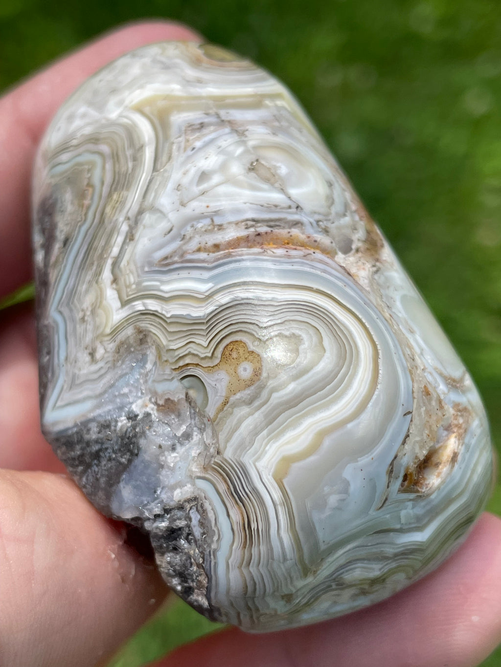 StoneBorn Creations Hand-Polished Lace Agate Freeform with Intricate Fortification Banding, Orbicular Eyes & Preserved Natural Matrix
