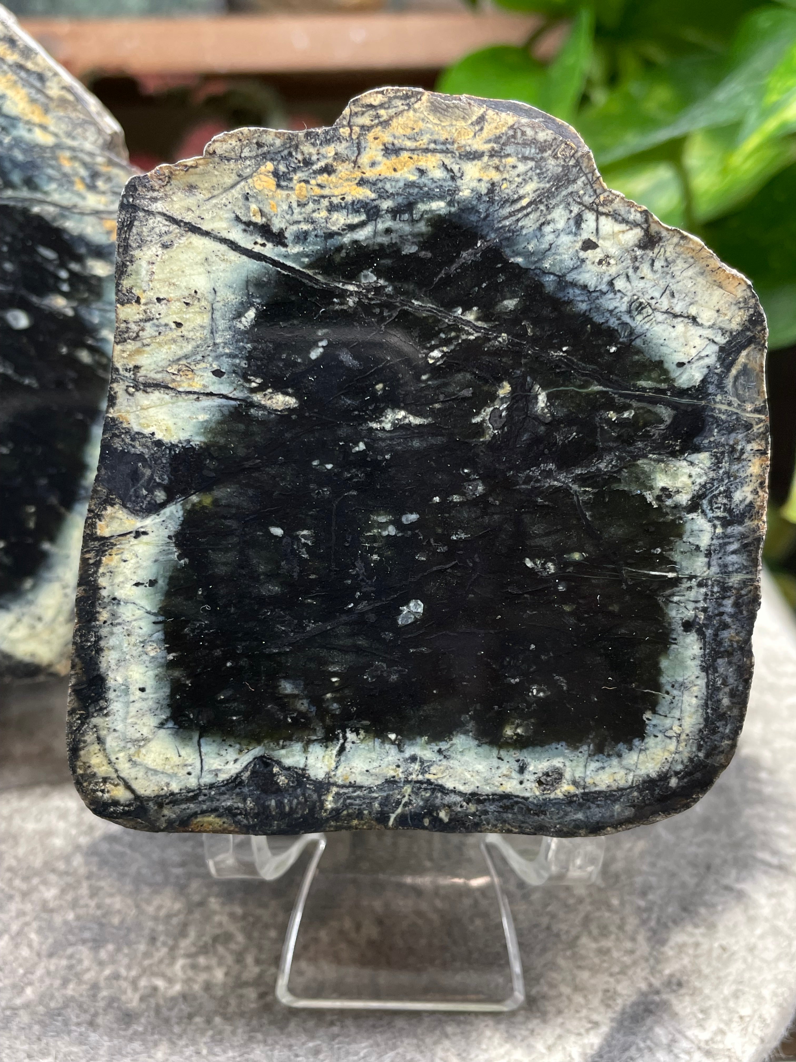 StoneBorn Creations Hand-Polished Vermont Serpentine Pair – River-Cut Matching Halves with Dark Core & Natural Green Halo