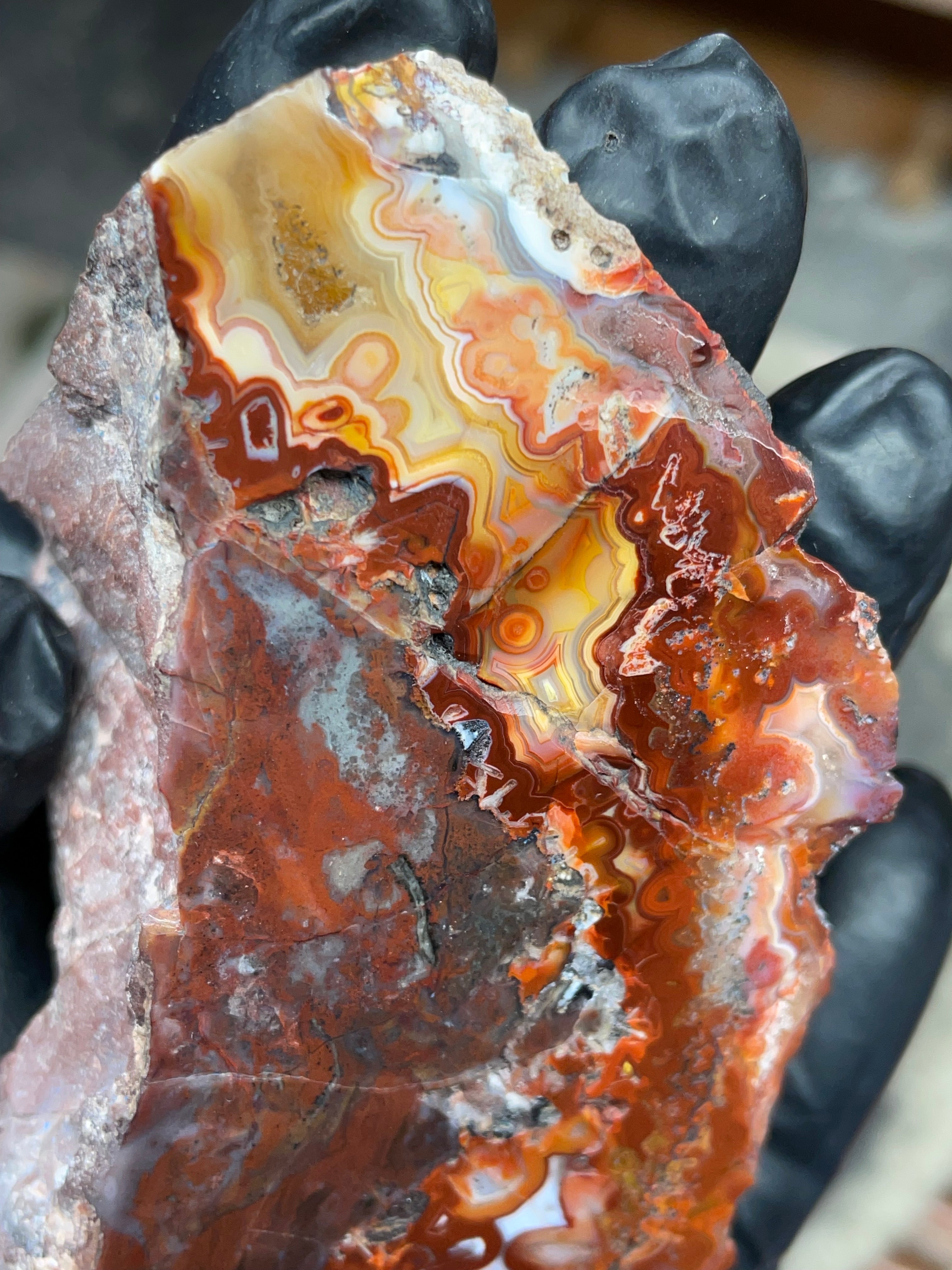 StoneBorn Creations — Hand-Polished Banded Agate (Curved Flat-Lap Polish)