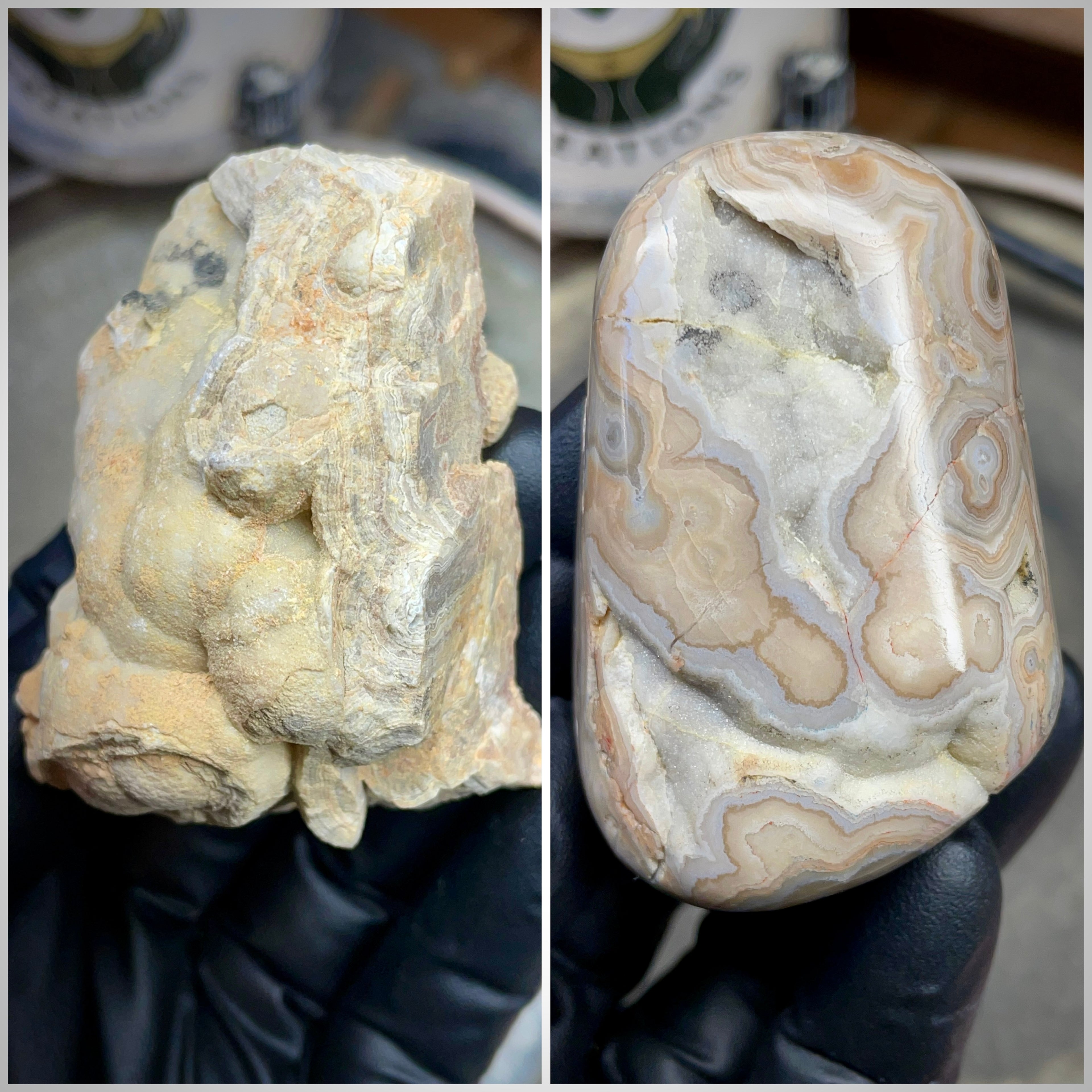 StoneBorn Creations – Hand Polished Georgia Lace Agate with Natural Druzy Crystal Pocket | One-of-a-Kind Display Stone